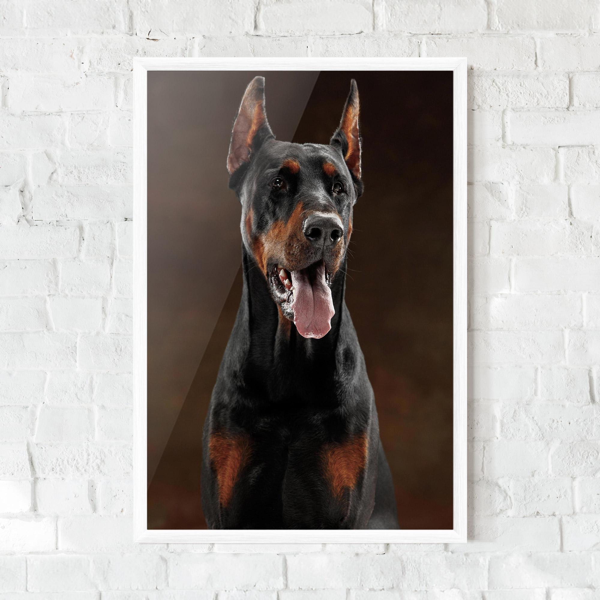 Gerahmte Poster Doberman Looking mockup 0