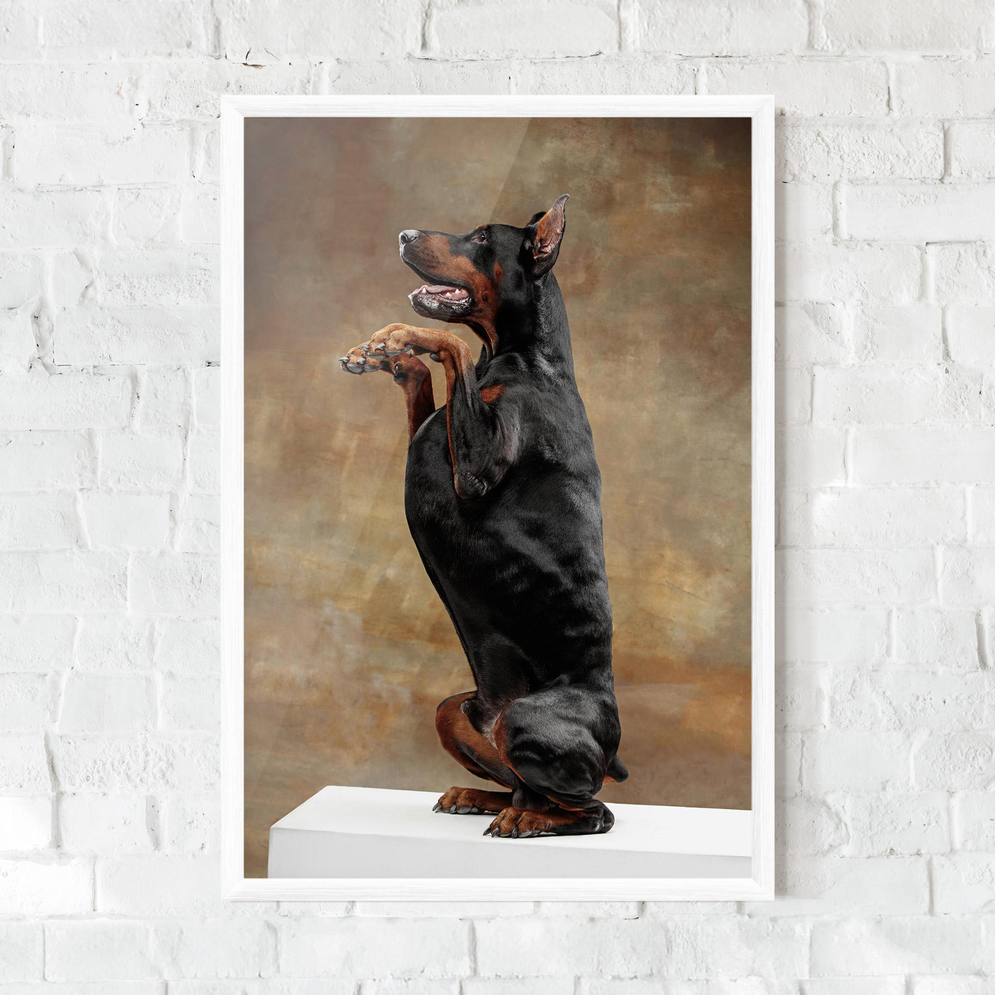 Gerahmte Poster Doberman Standing mockup 0