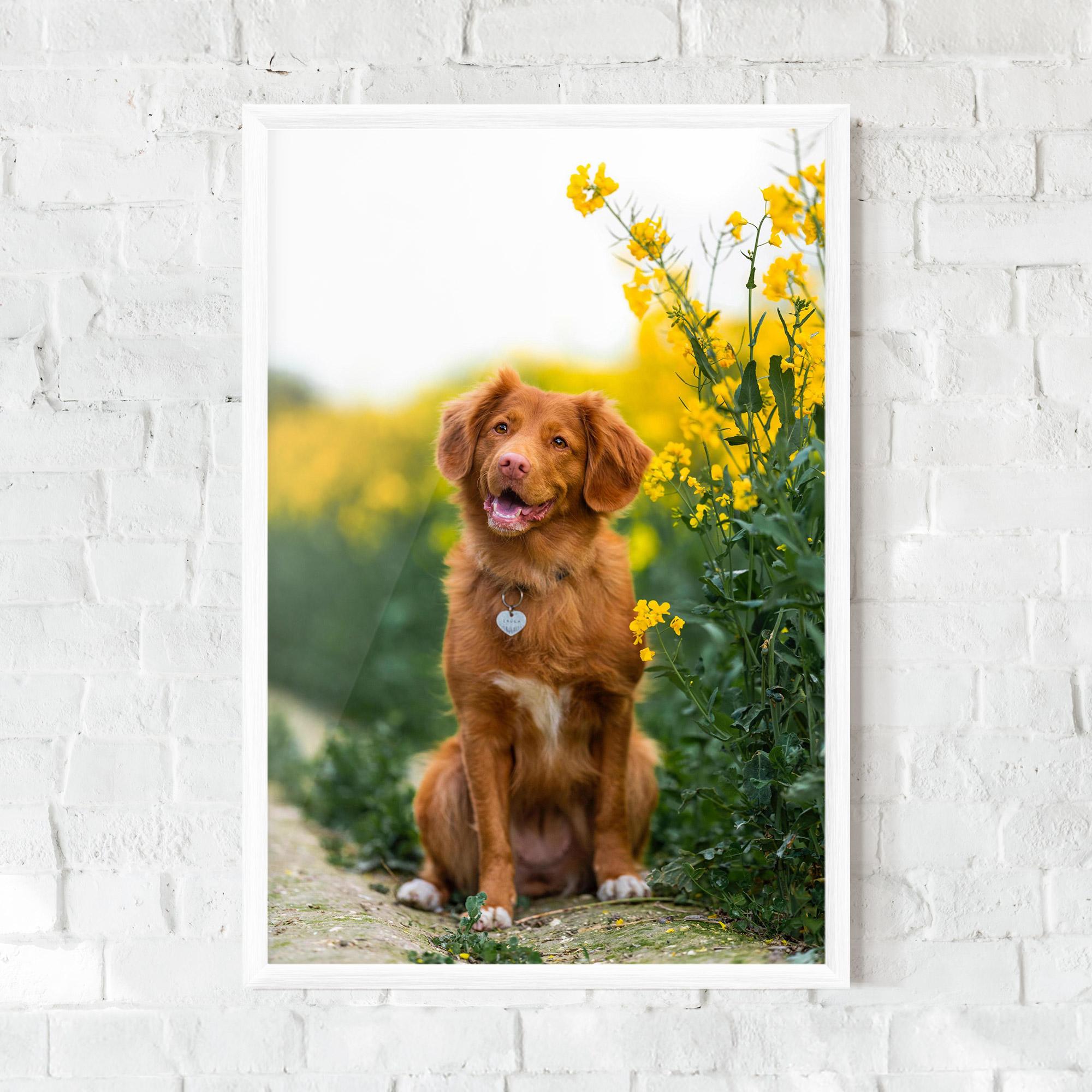 Gerahmte Poster Dog Yellow Flowers mockup 0