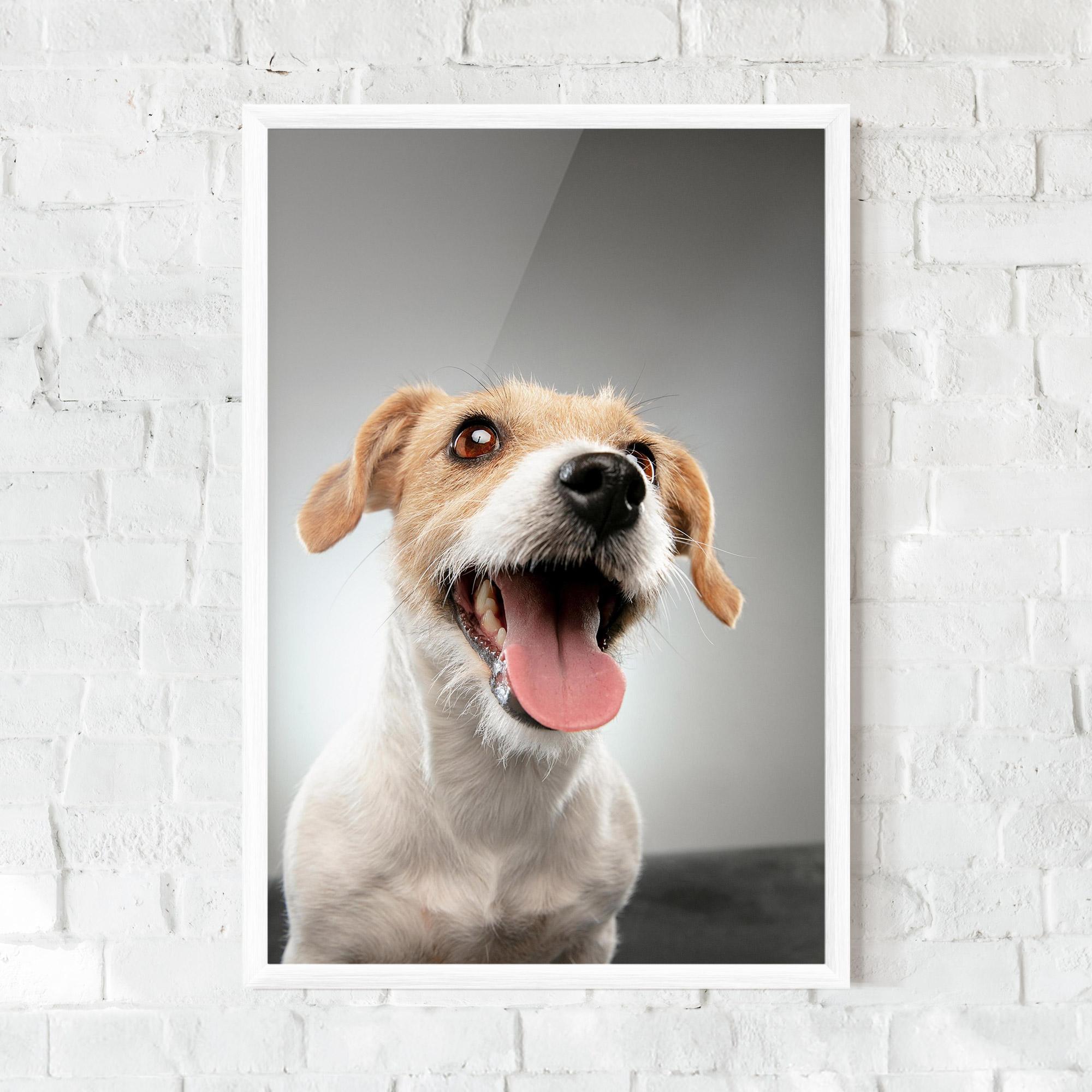 Gerahmte Poster Jack Russell Terrier mockup 0