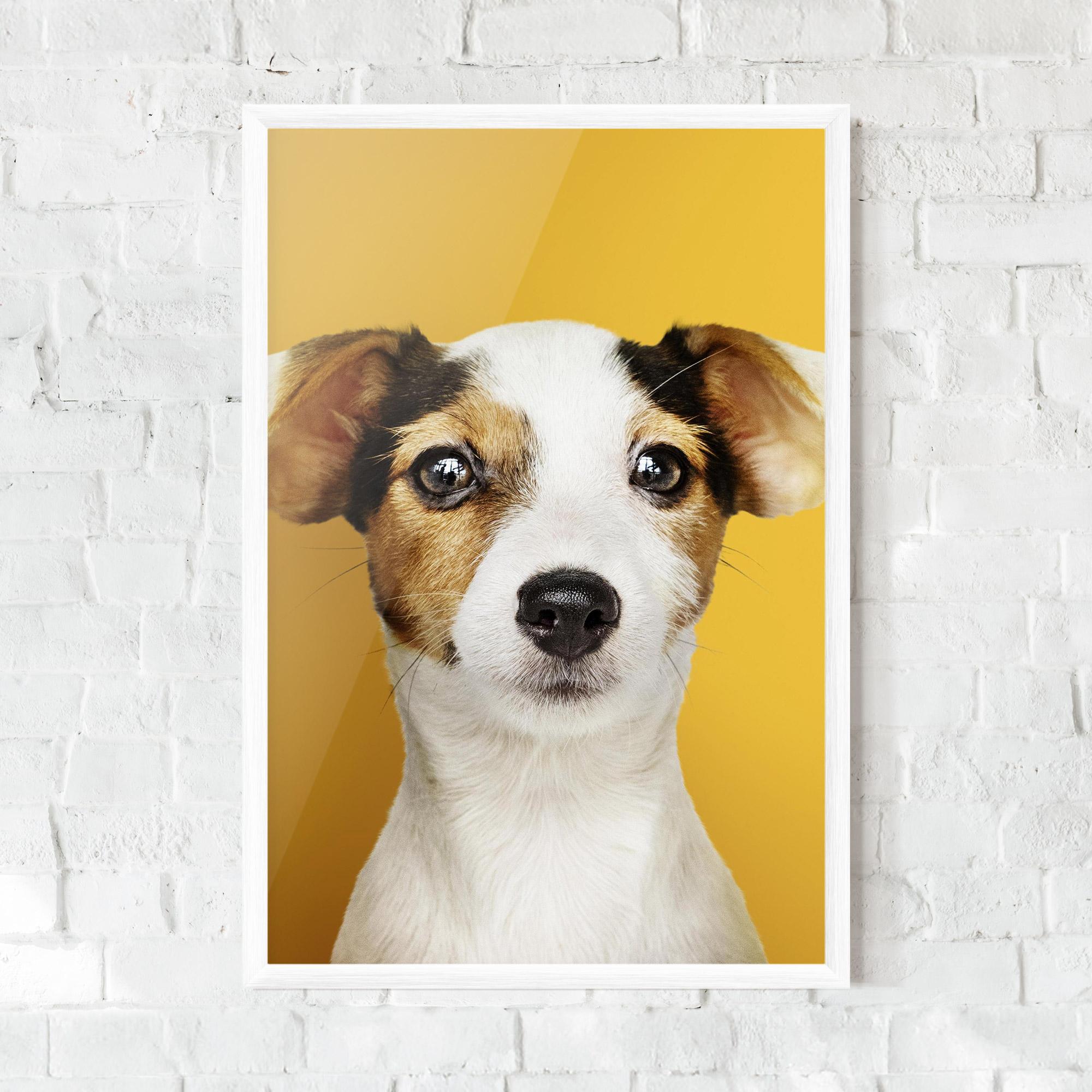 Gerahmte Poster Puppy On Yellow mockup 0