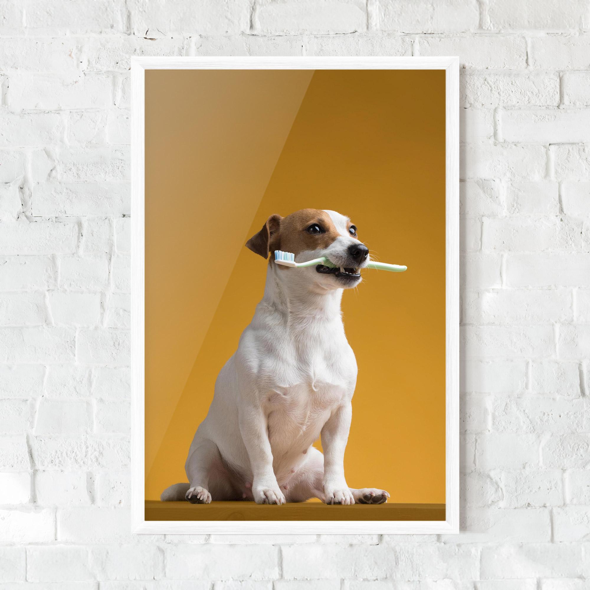Gerahmte Poster Toothbrush Dog mockup 0