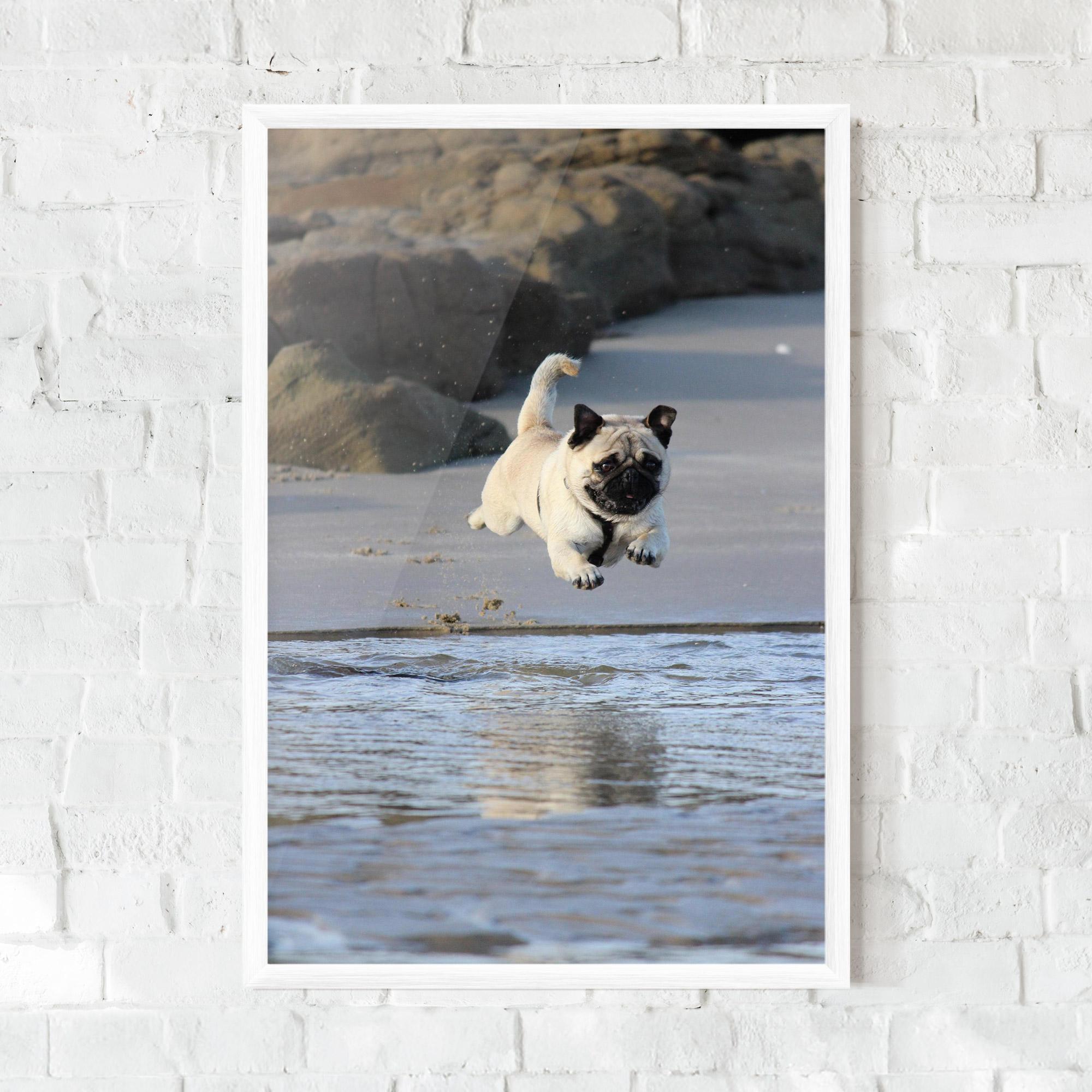 Gerahmte Poster Water Pug mockup 0