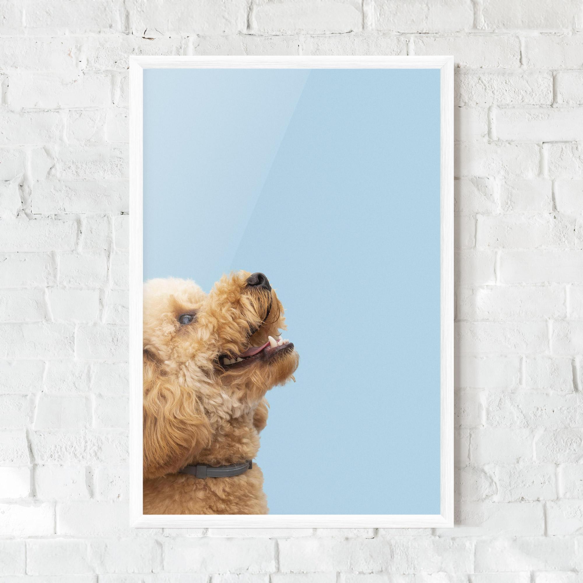 Gerahmte Poster Yellow Cute Dog mockup 0