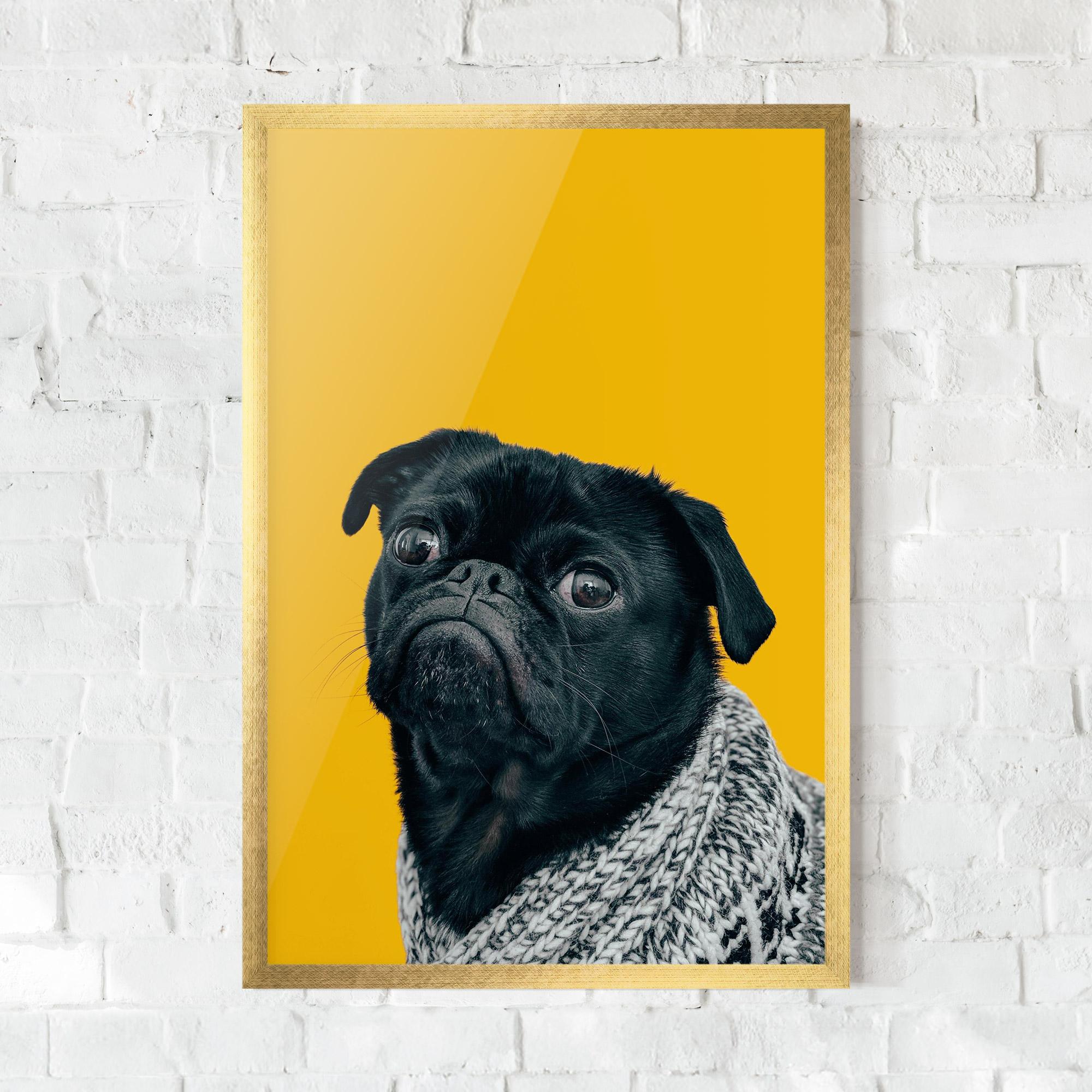 Gerahmte Poster Black Pug mockup 0