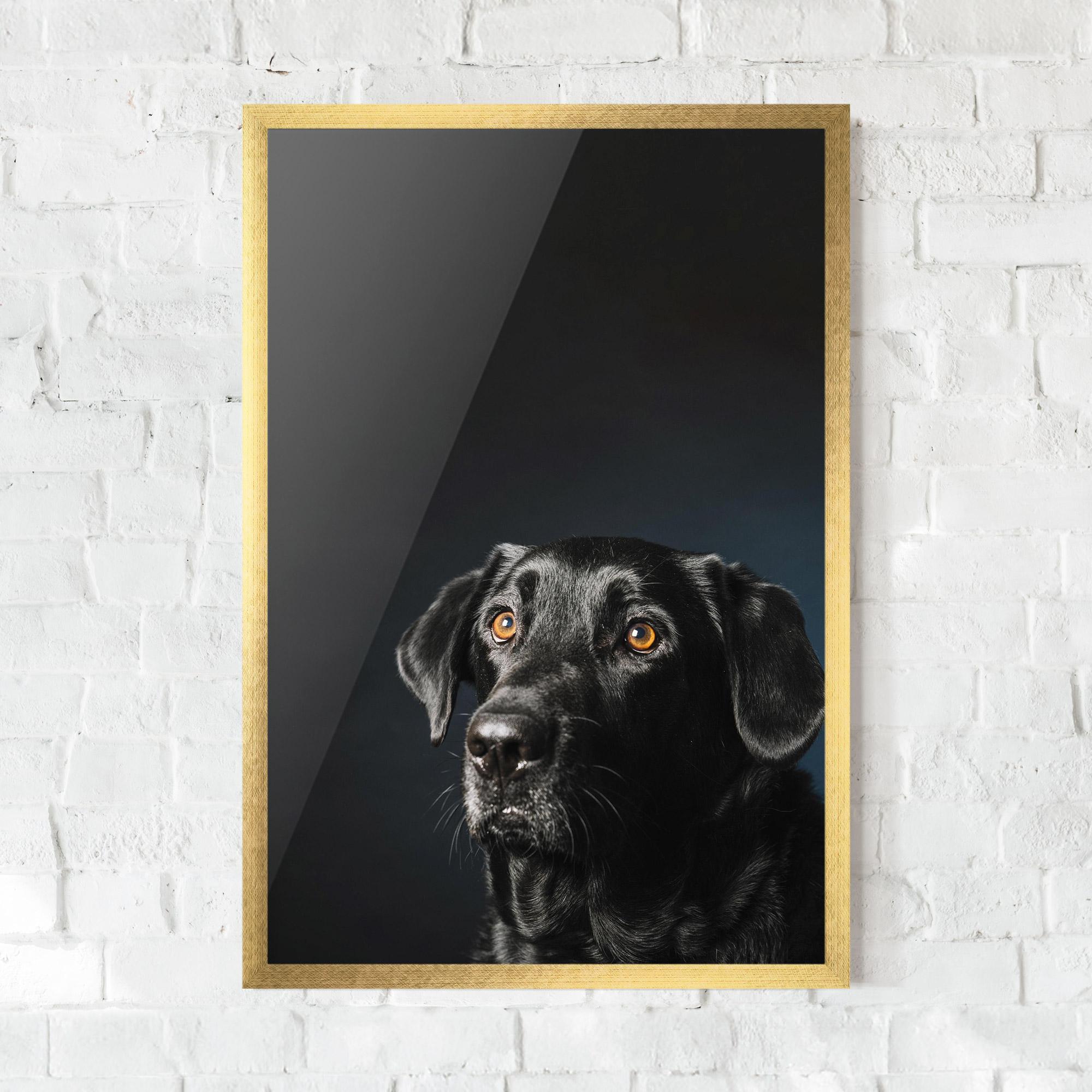 Gerahmte Poster Brown Eyes Dog mockup 0