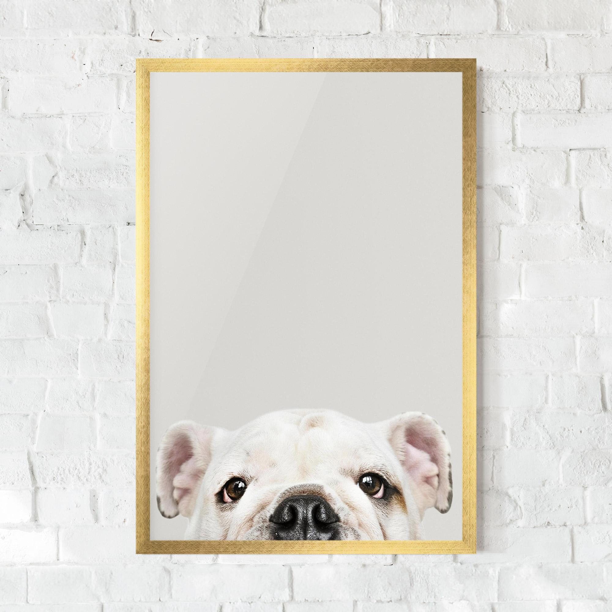 Gerahmte Poster Bulldog Eyes mockup 0
