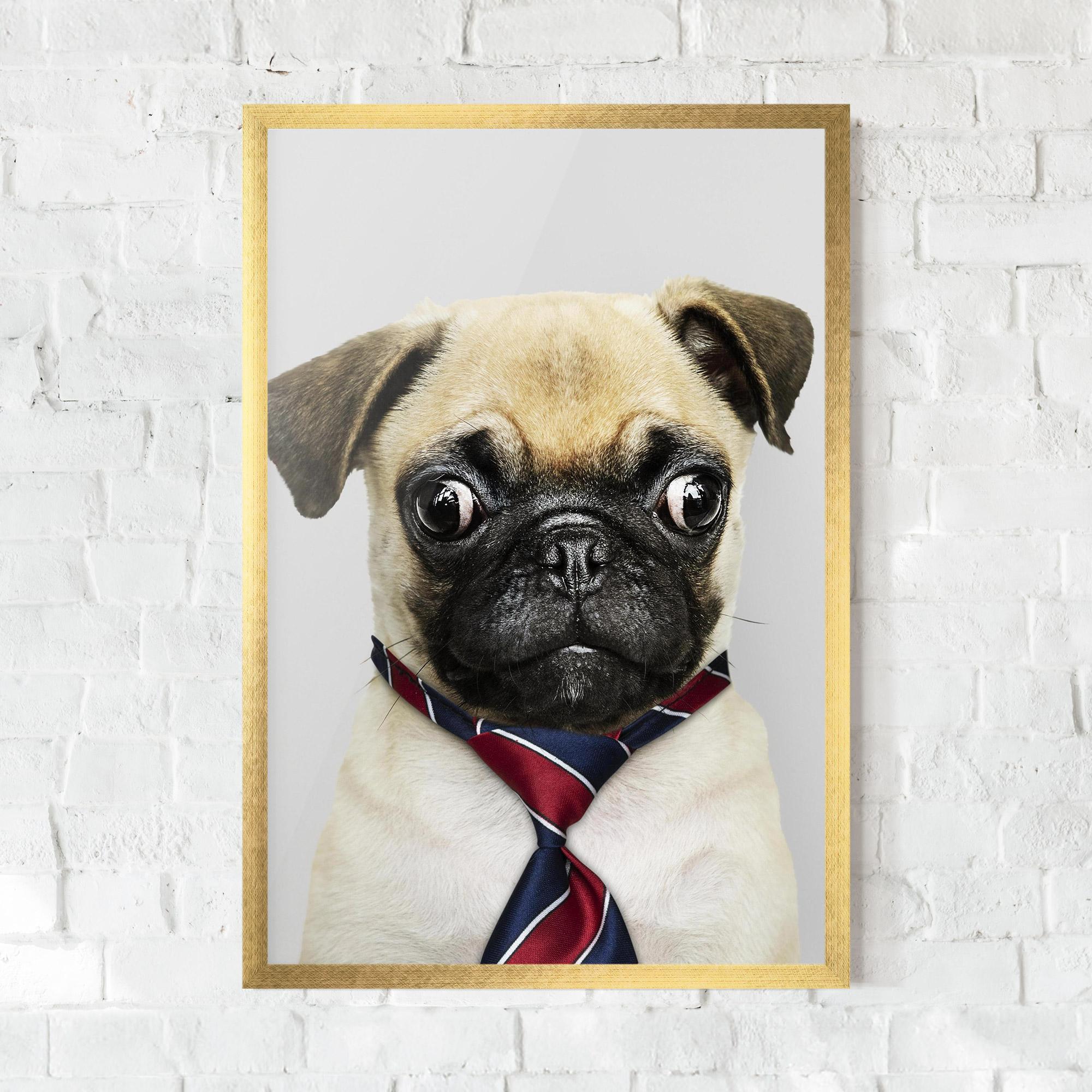 Gerahmte Poster Business Pug mockup 0