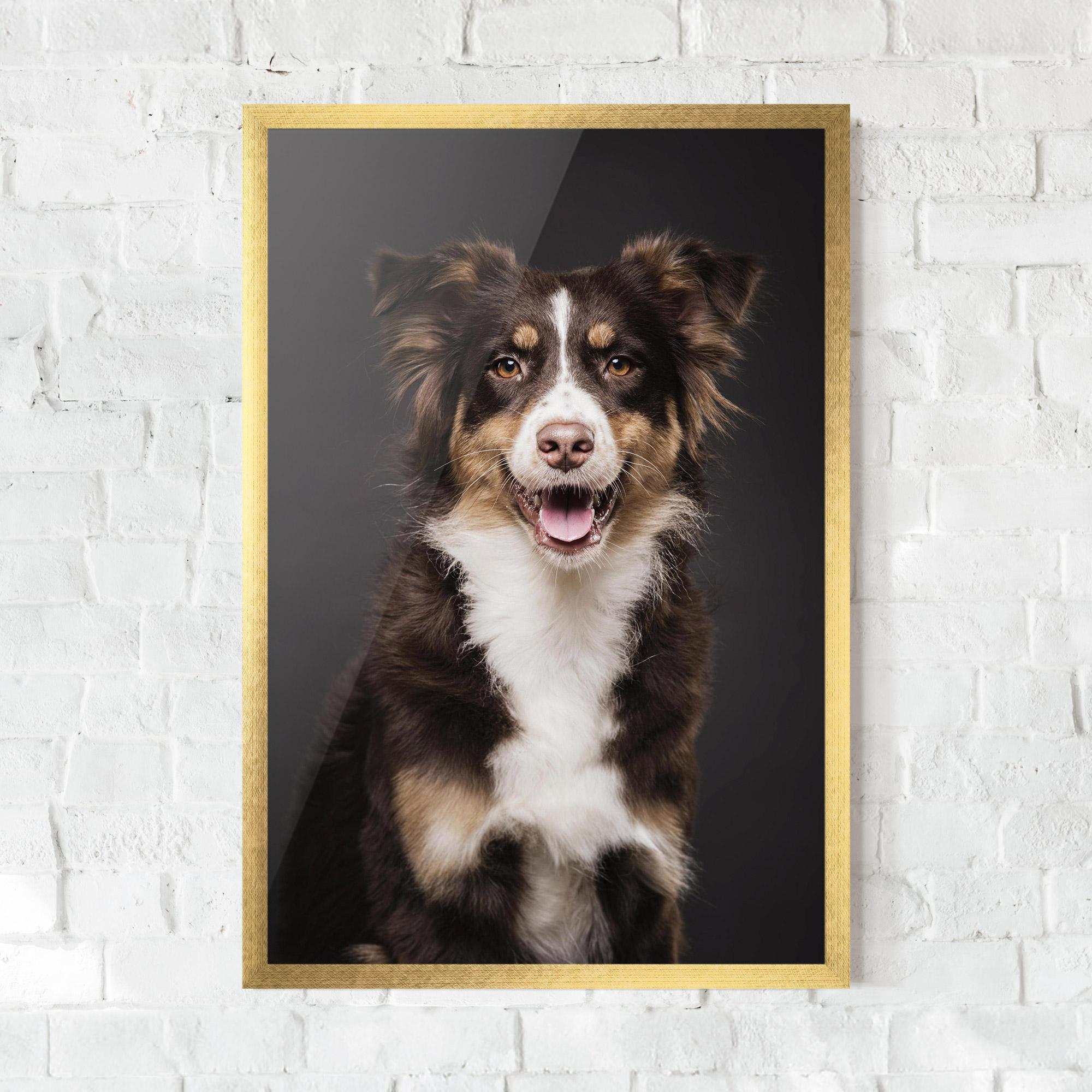 Gerahmte Poster Cute Dog Sitting mockup 0
