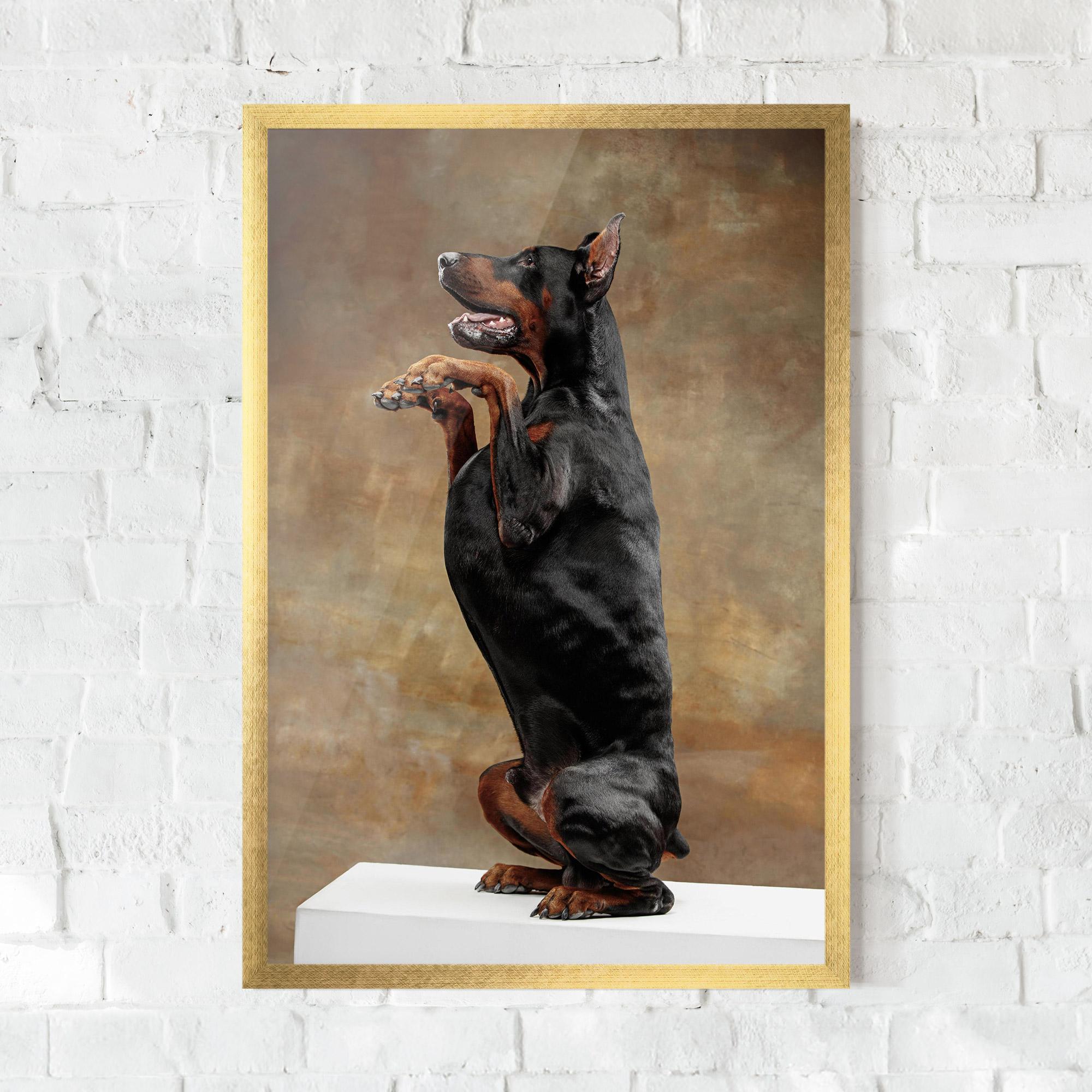 Gerahmte Poster Doberman Standing mockup 0