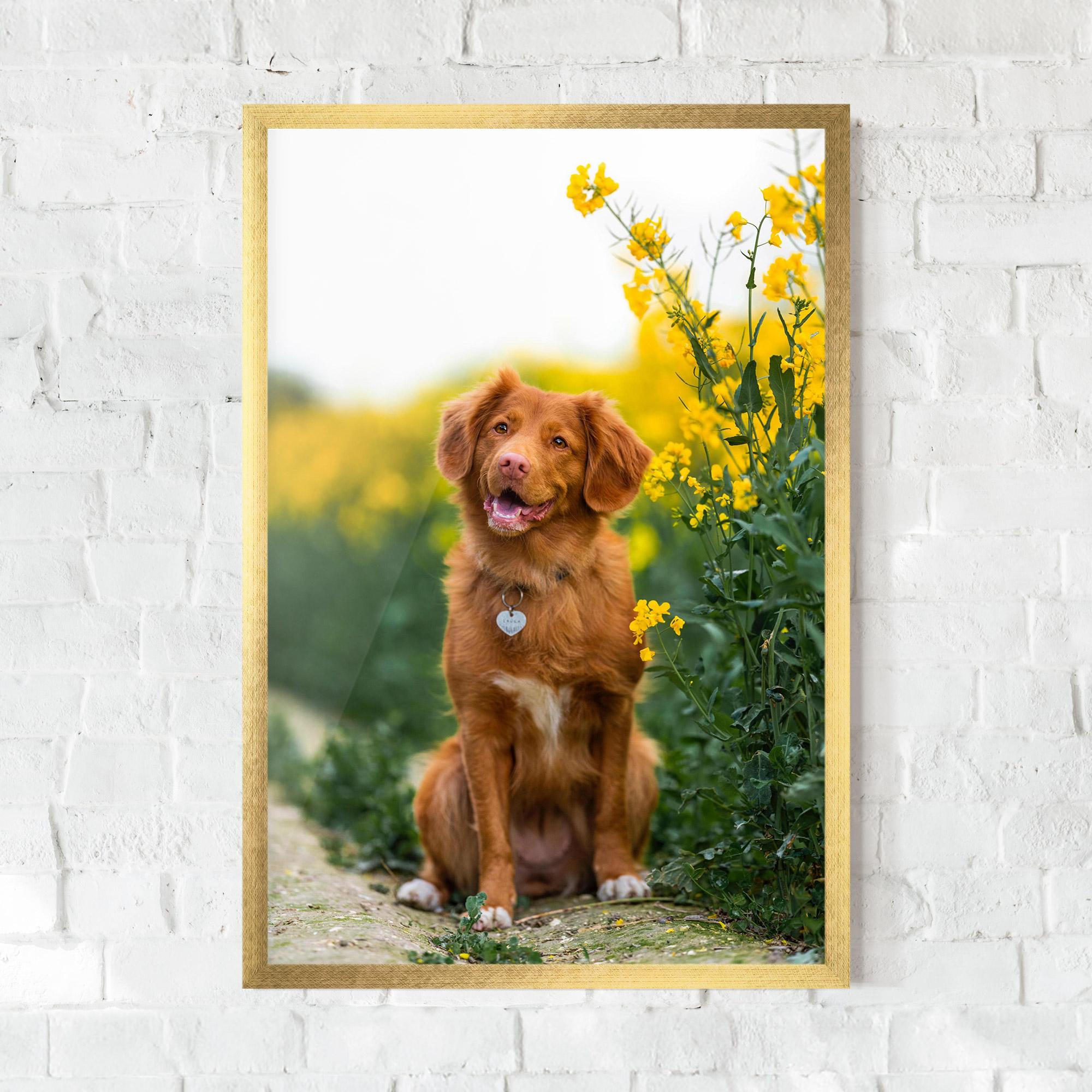 Gerahmte Poster Dog Yellow Flowers mockup 0