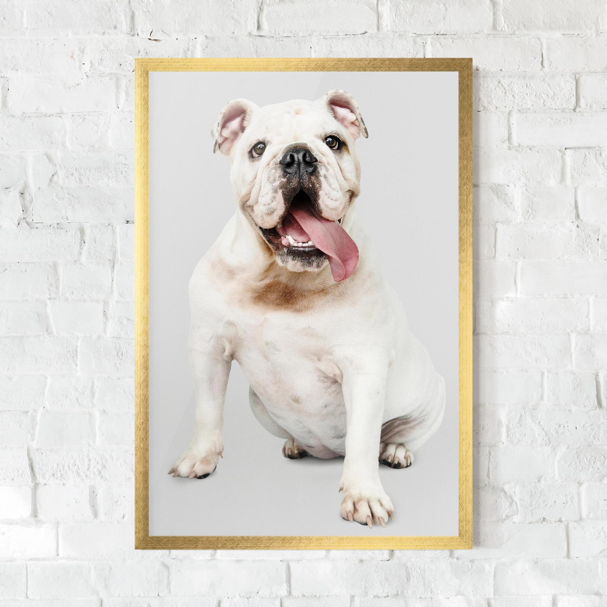Gerahmte Poster Happy White Dog mockup 0