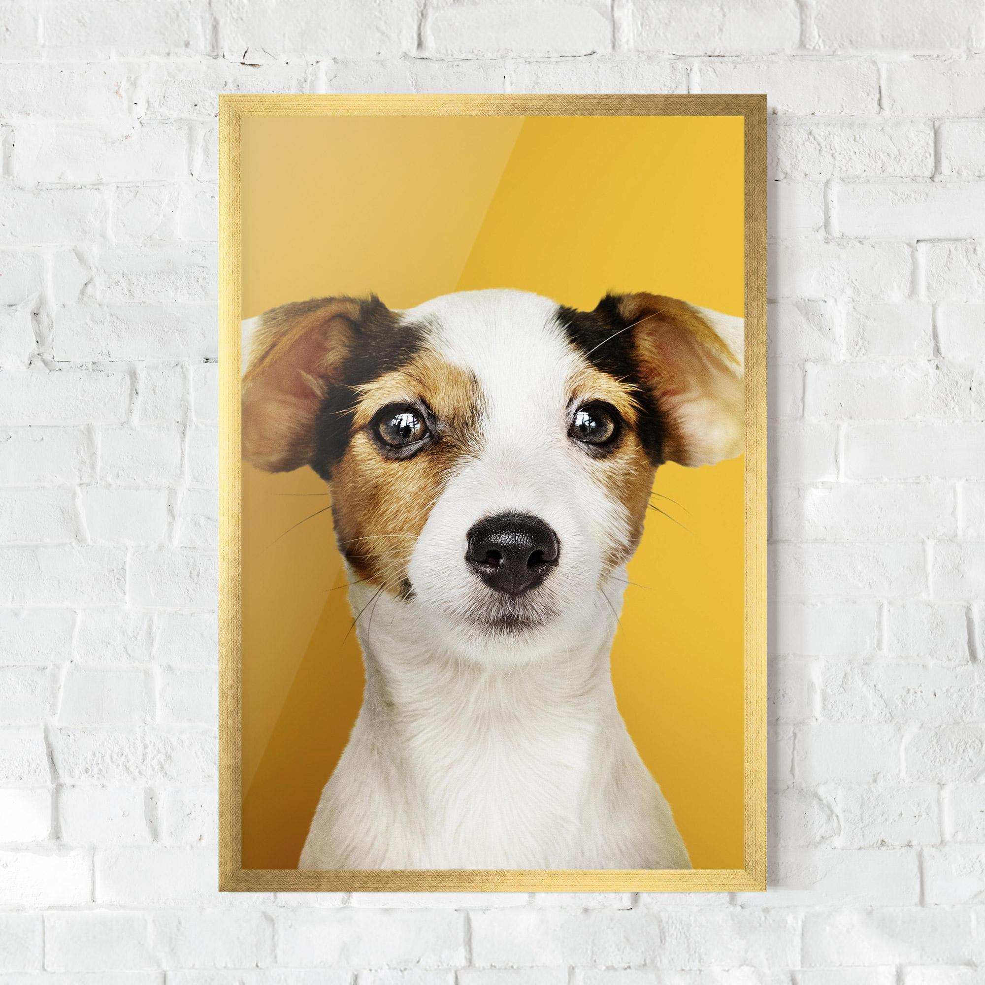 Gerahmte Poster Puppy On Yellow mockup 0