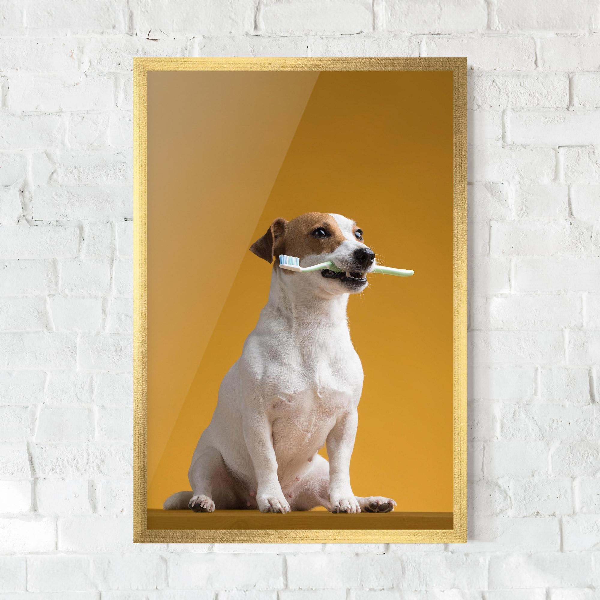 Gerahmte Poster Toothbrush Dog mockup 0