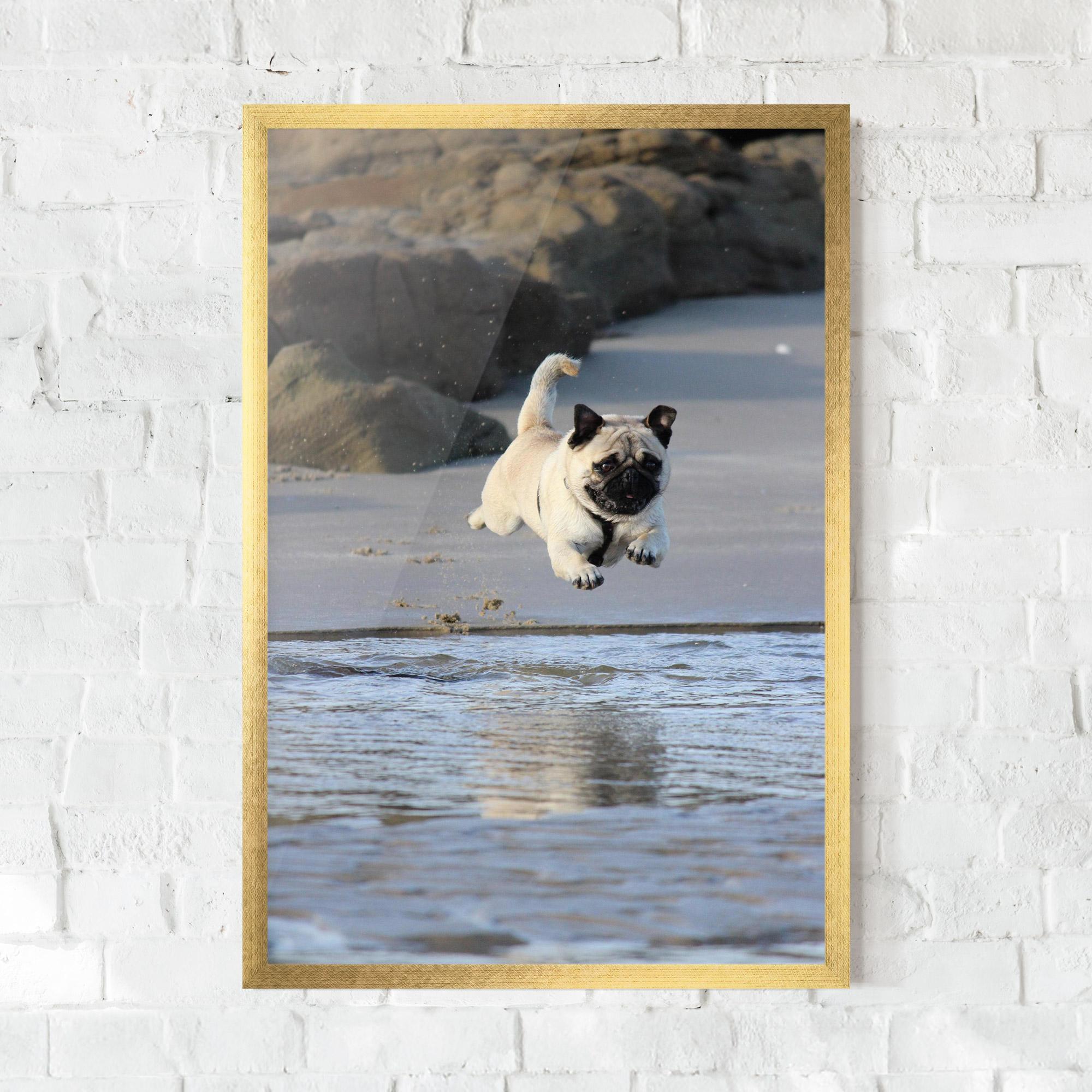 Gerahmte Poster Water Pug mockup 0