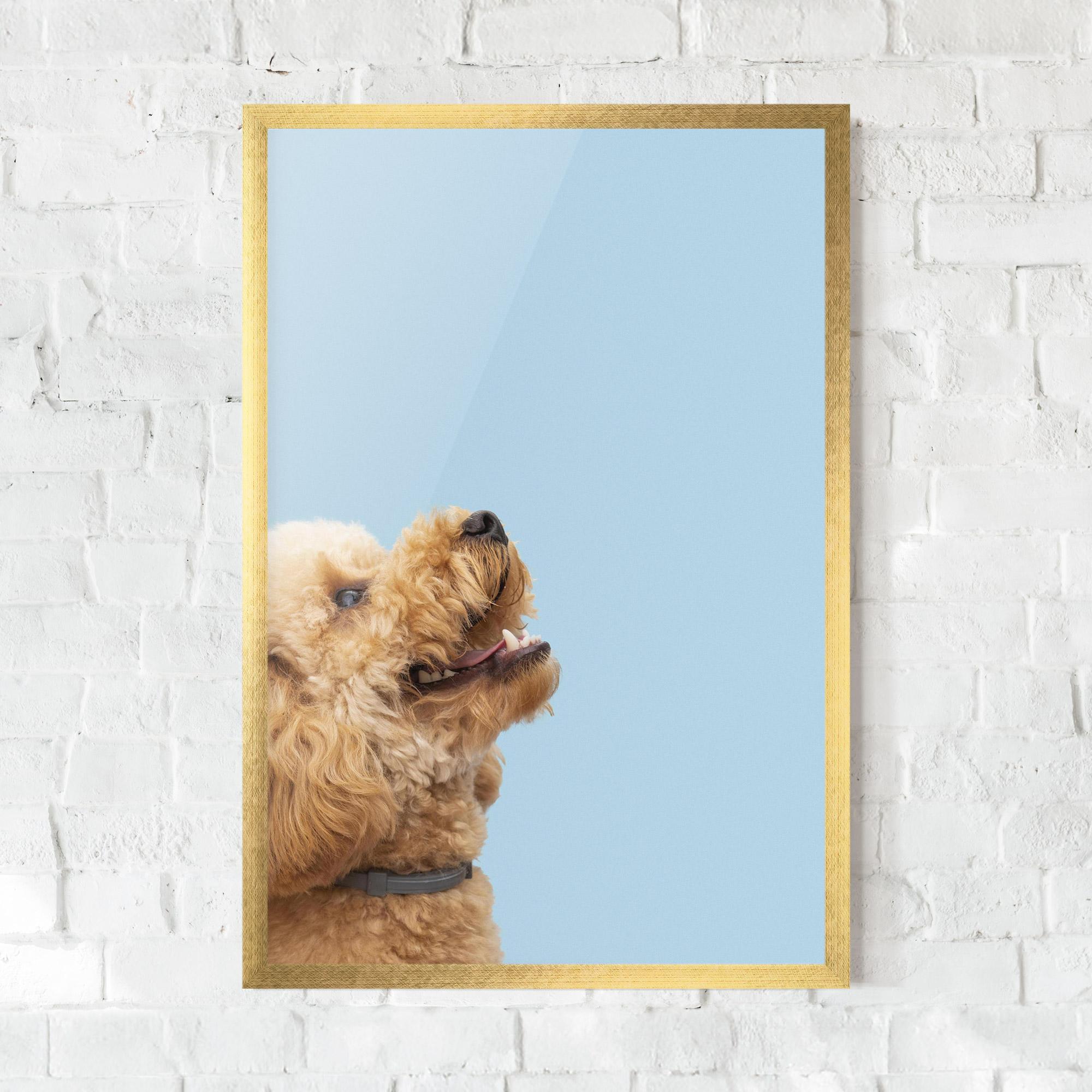 Gerahmte Poster Yellow Cute Dog mockup 0