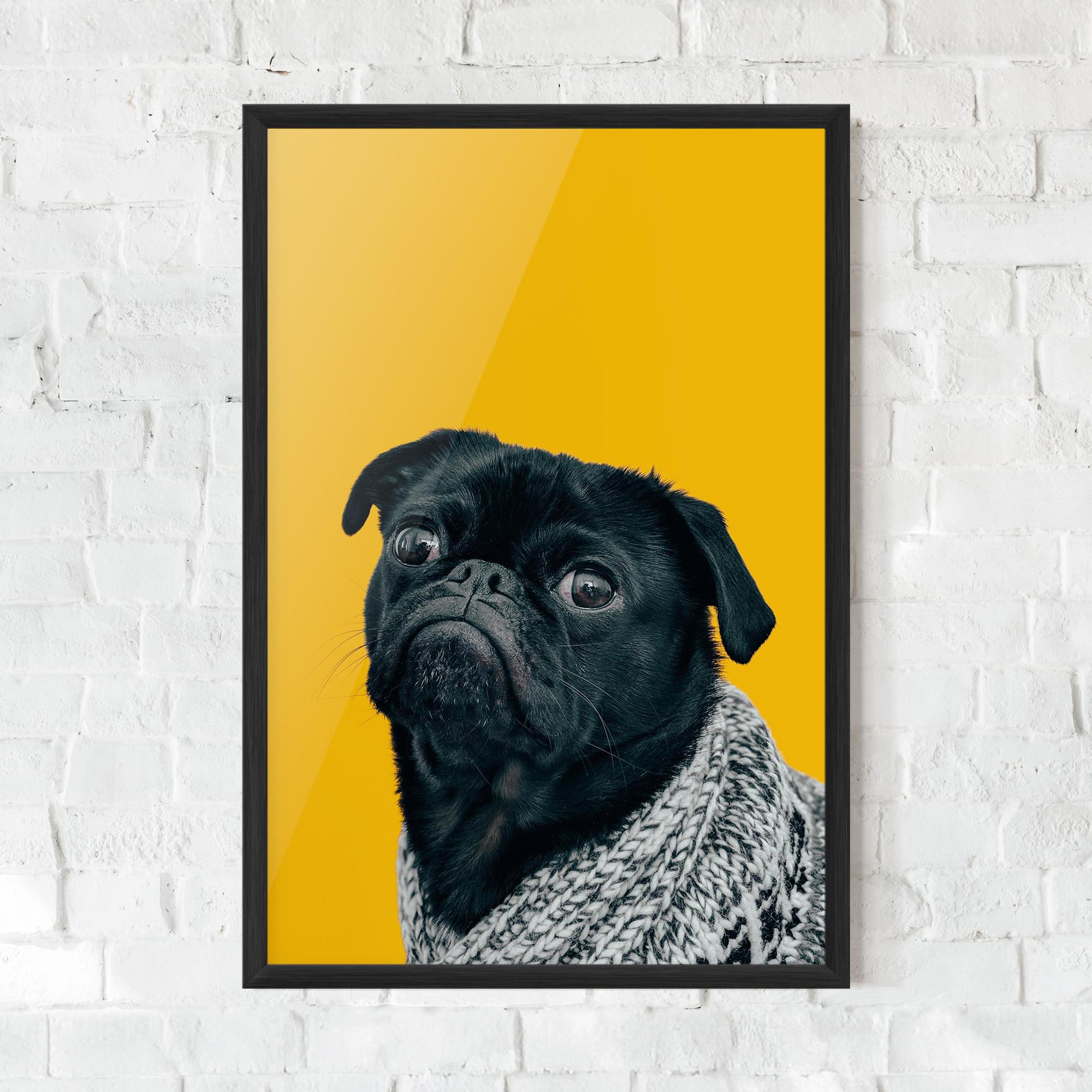 Gerahmte Poster Black Pug mockup 0