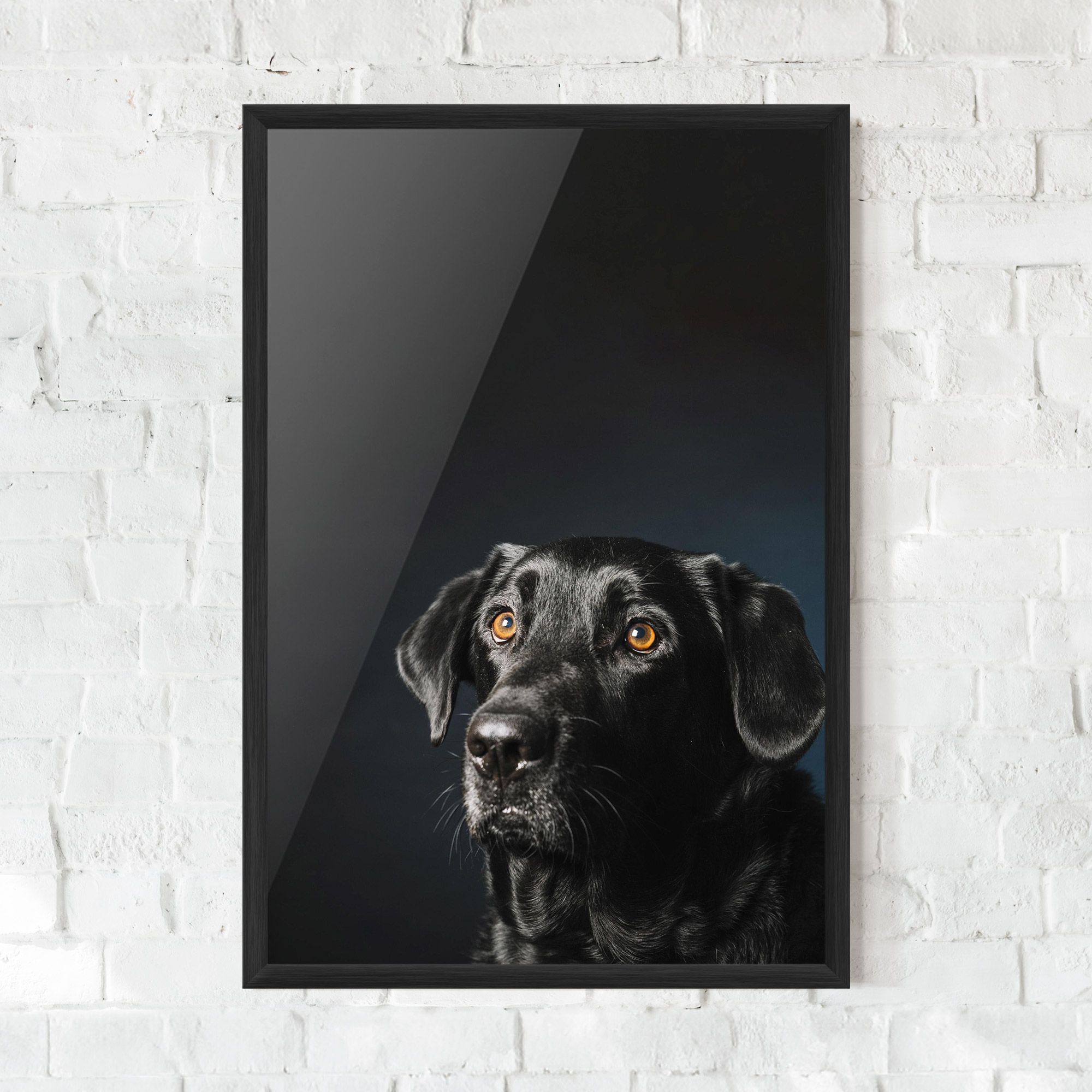 Brown Eyes Dog mockup 0