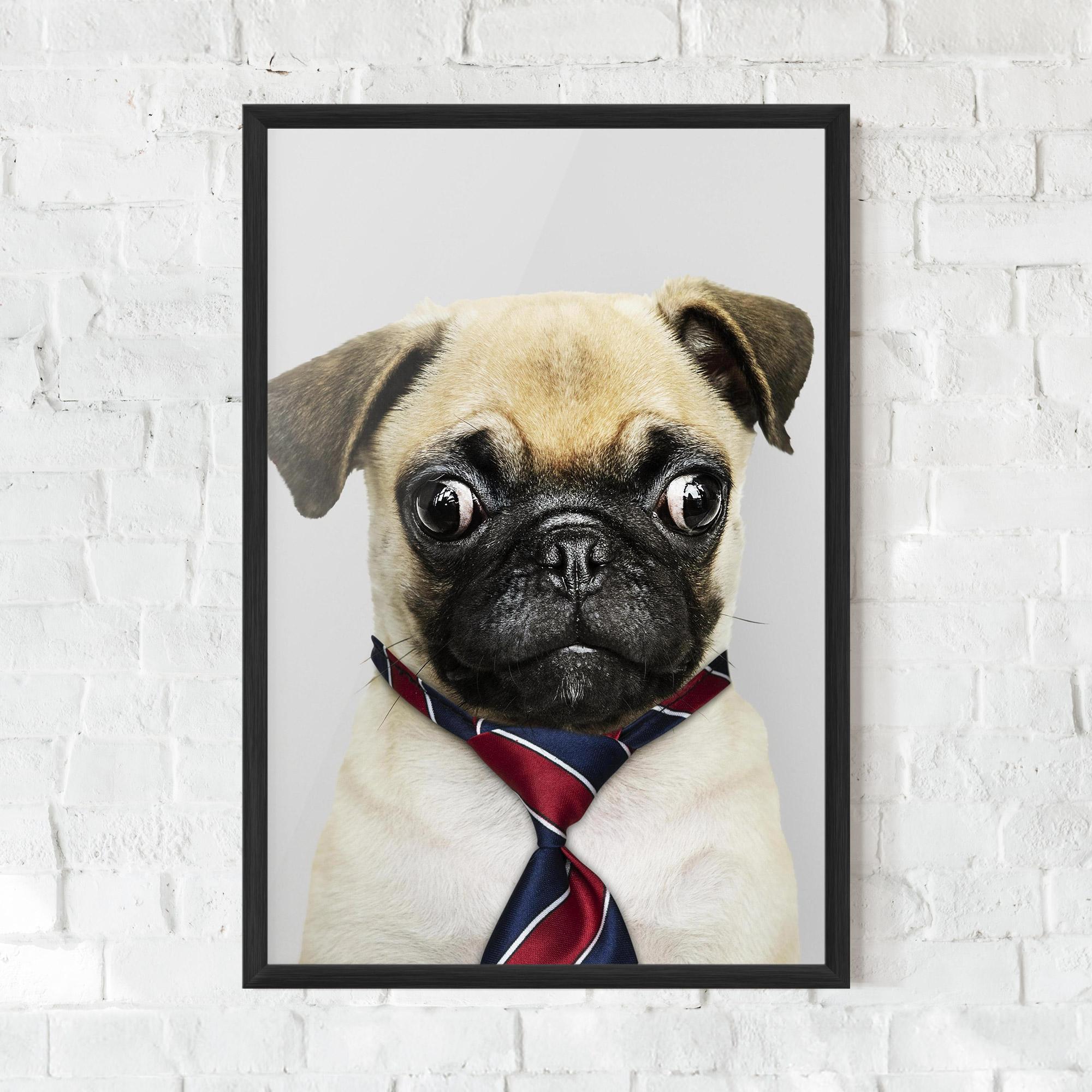 Gerahmte Poster Business Pug mockup 0