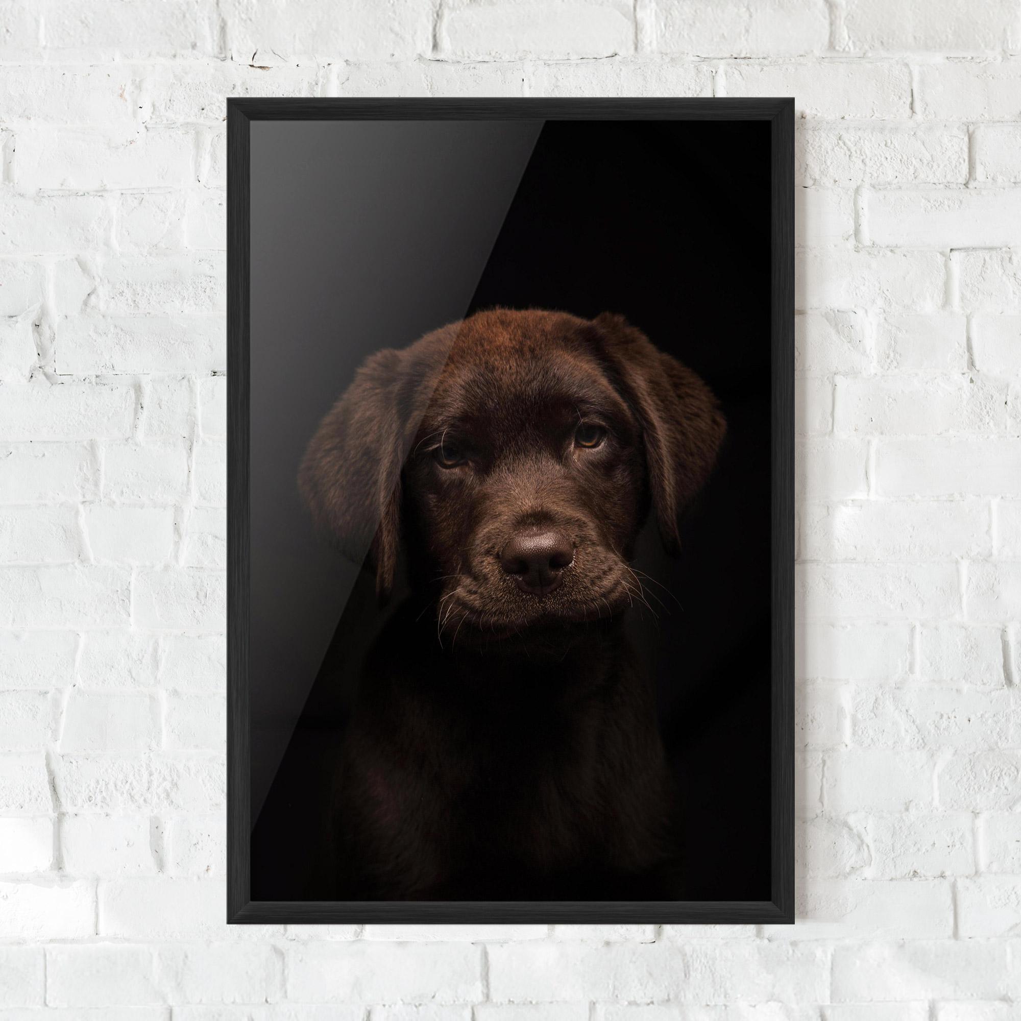 Gerahmte Poster Chocolate Labrador mockup 0