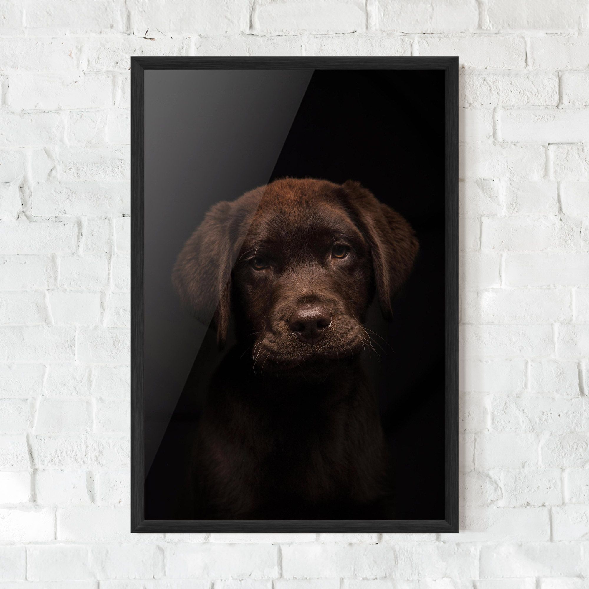 Chocolate Labrador mockup 0