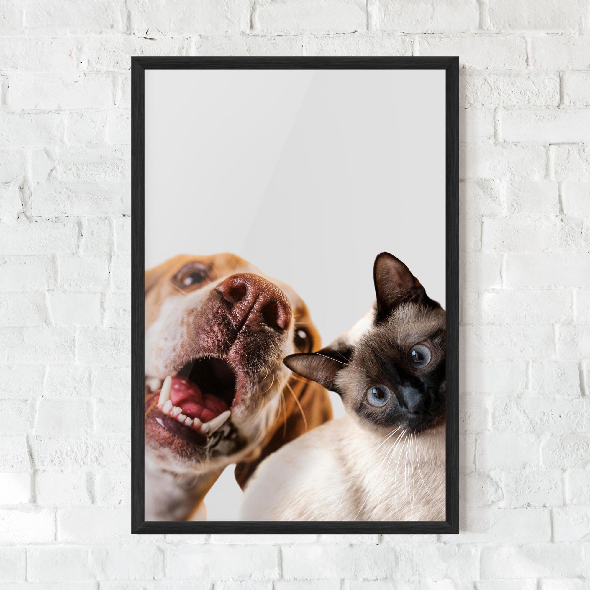 Cute Pet Collage mockup 0