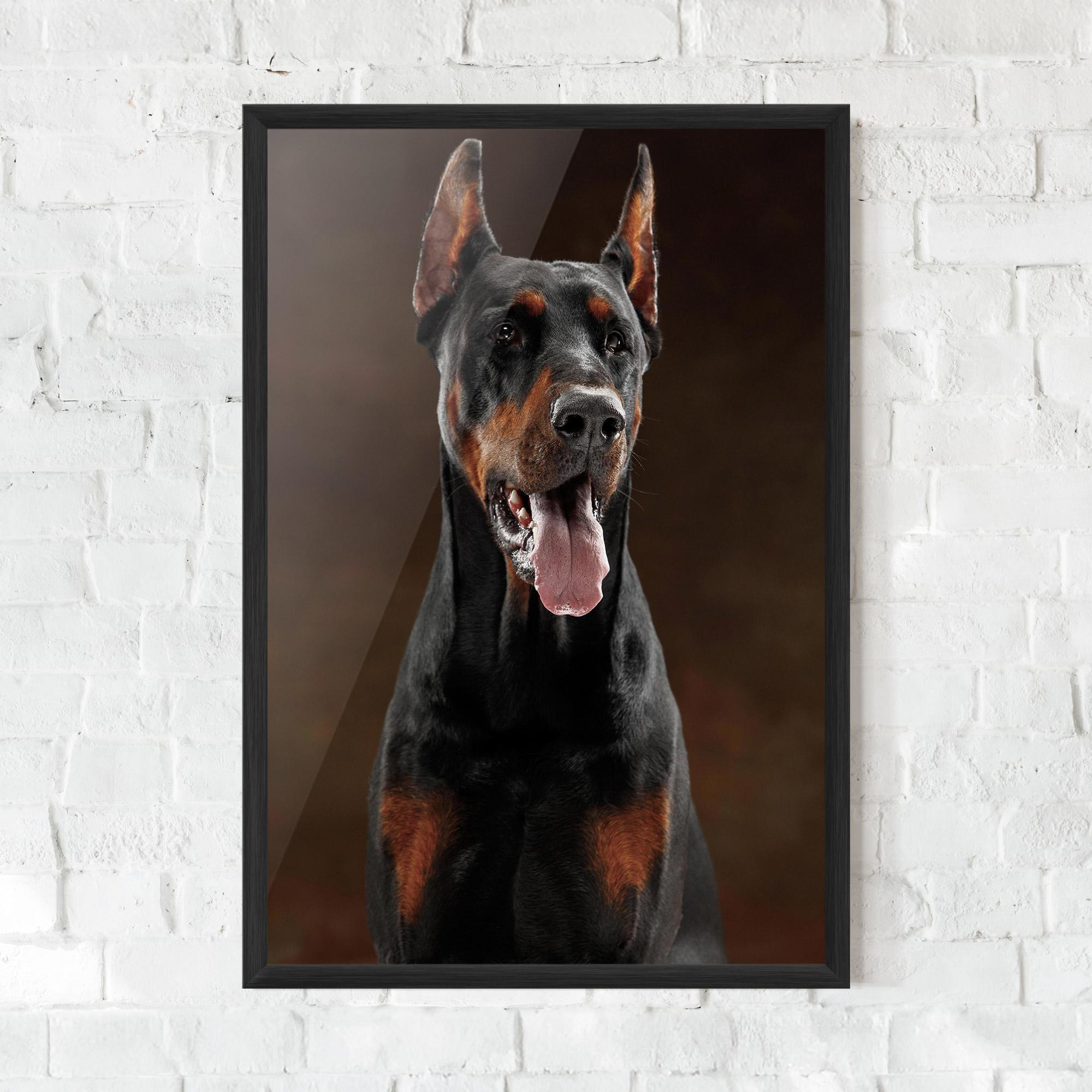 Gerahmte Poster Doberman Looking mockup 0