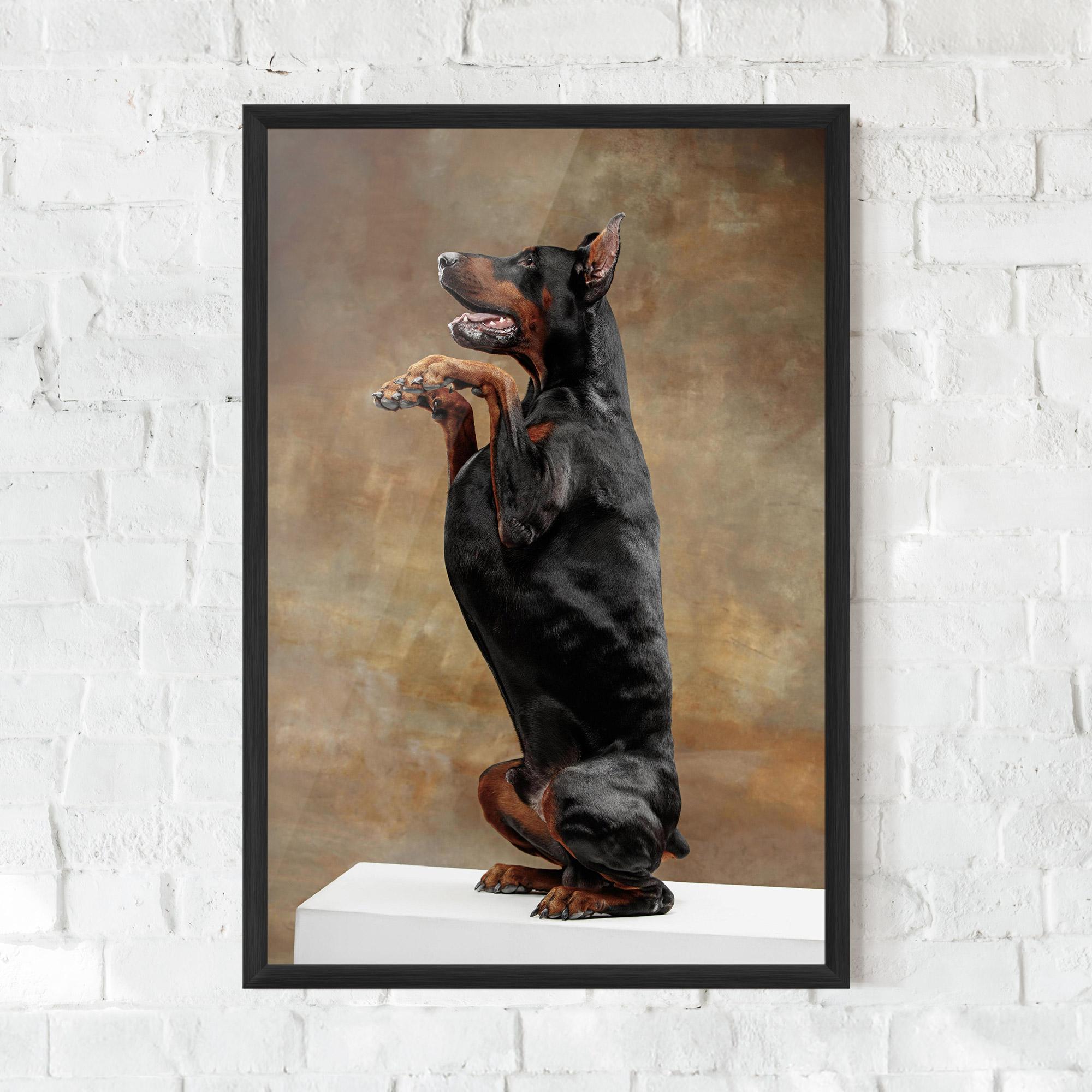 Gerahmte Poster Doberman Standing mockup 0