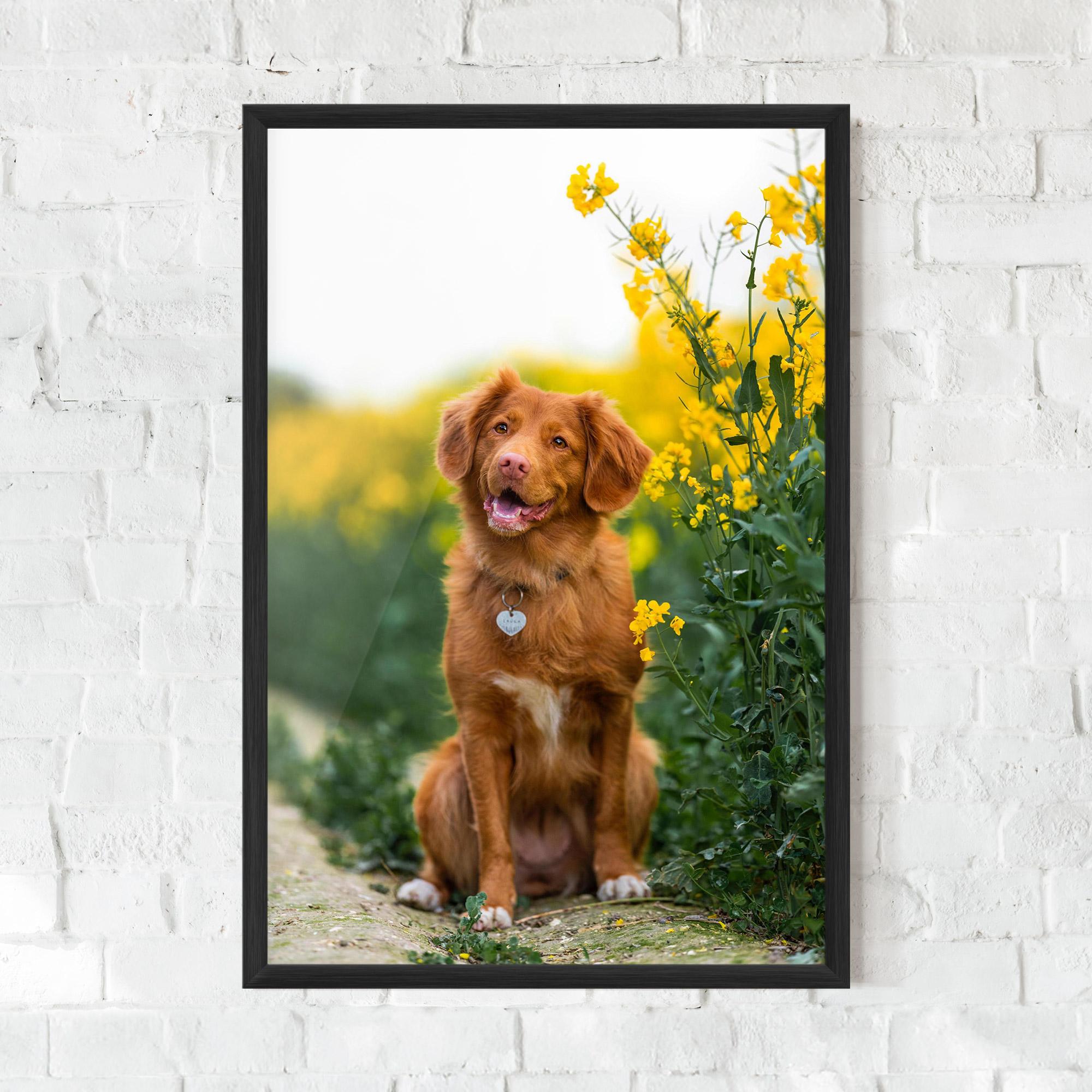 Gerahmte Poster Dog Yellow Flowers mockup 0