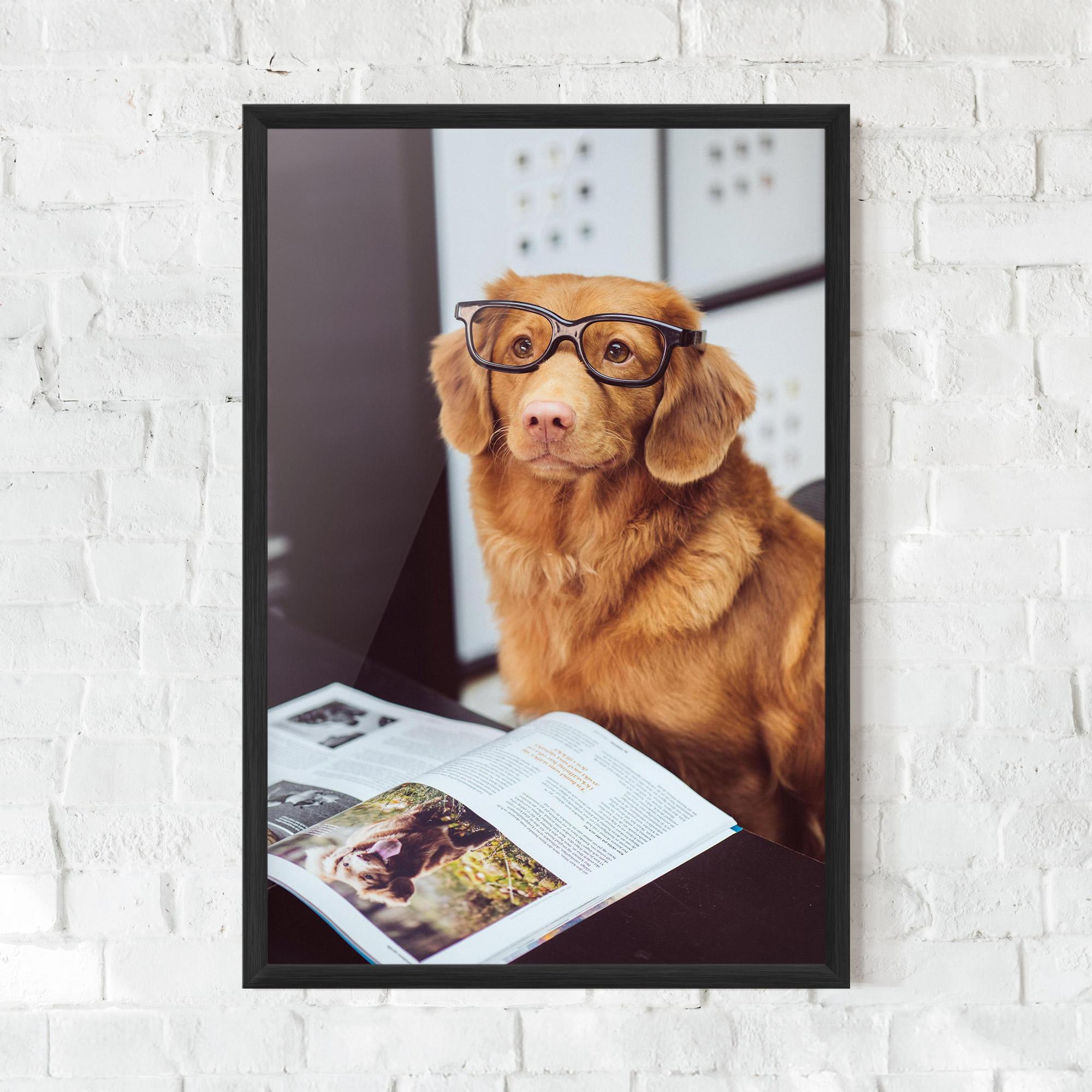 Gerahmte Poster Learning Dog mockup 0