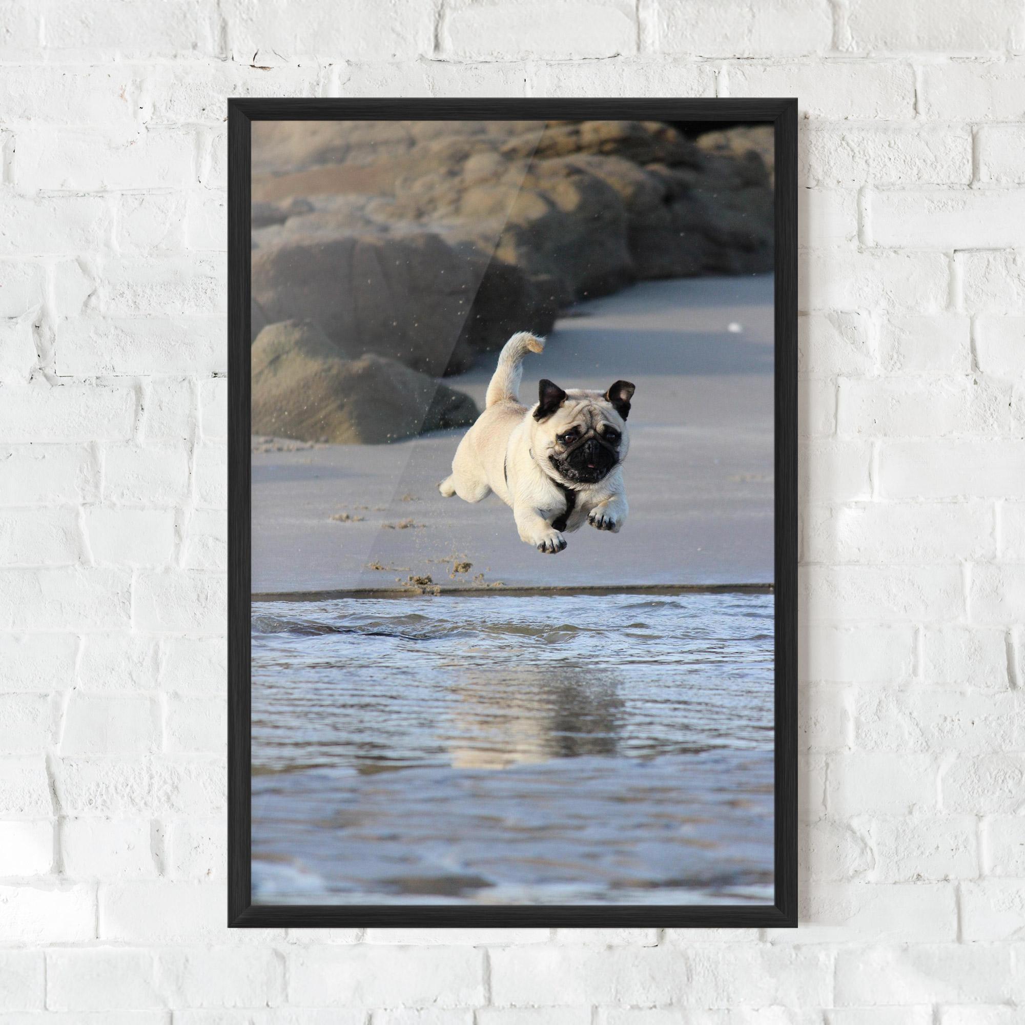 Gerahmte Poster Water Pug mockup 0