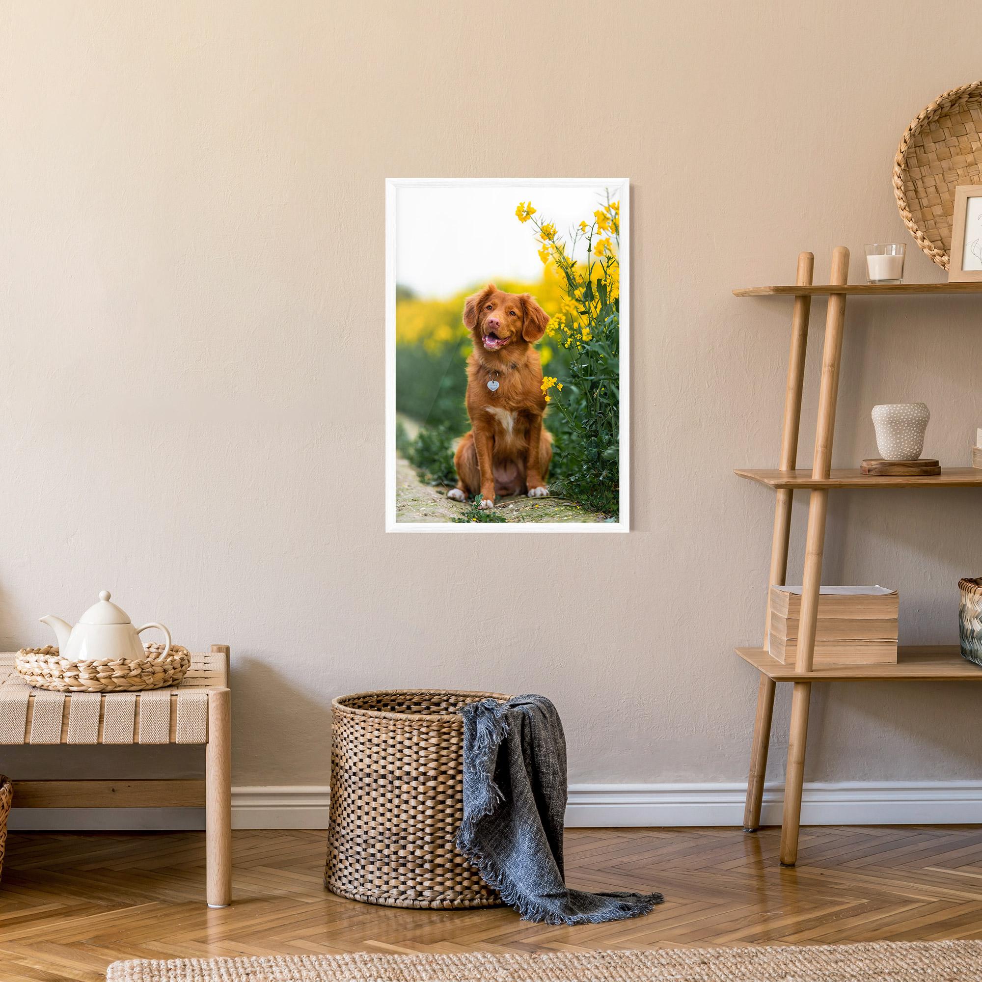 Gerahmte Poster Dog Yellow Flowers mockup 9