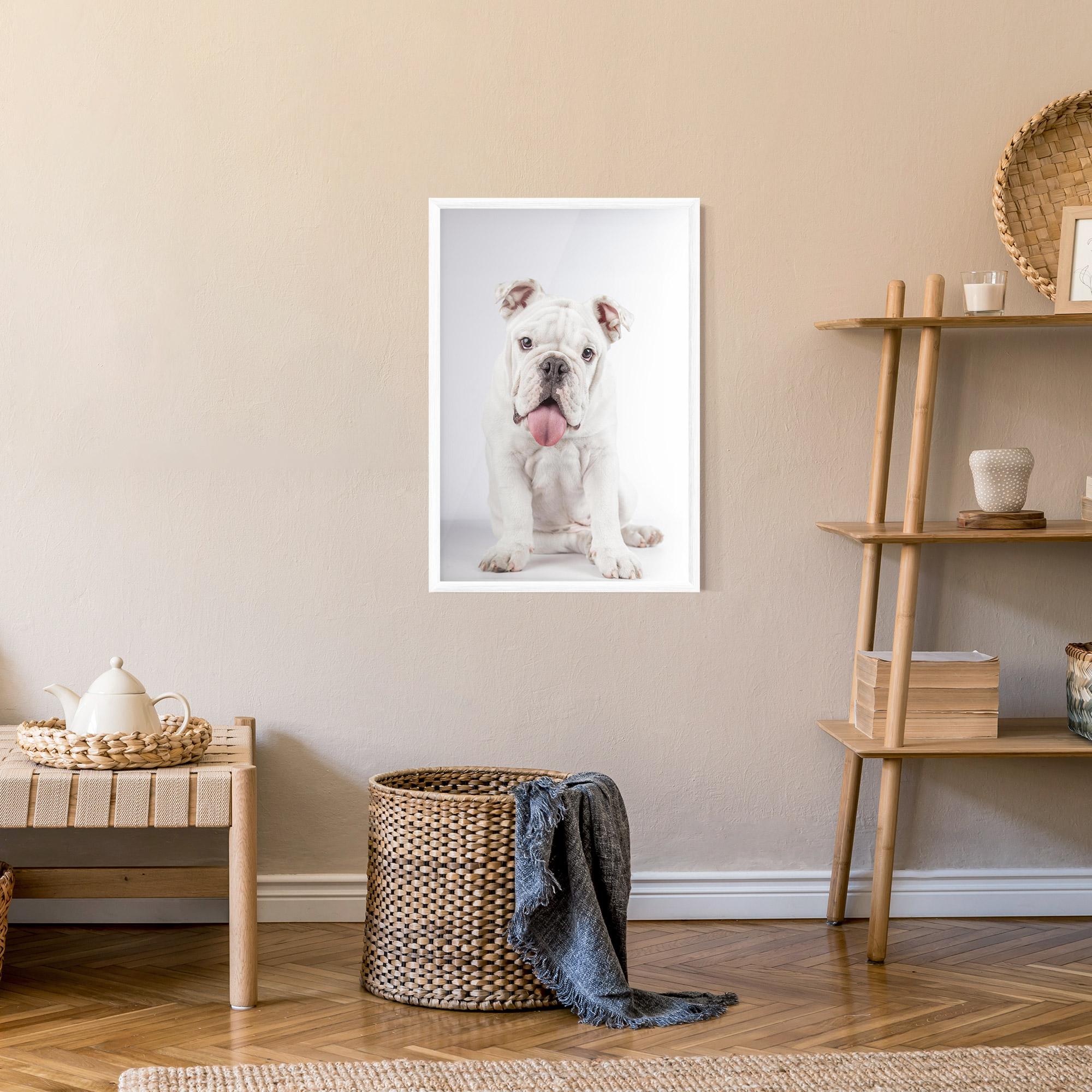 Gerahmte Poster English Bulldog mockup 9