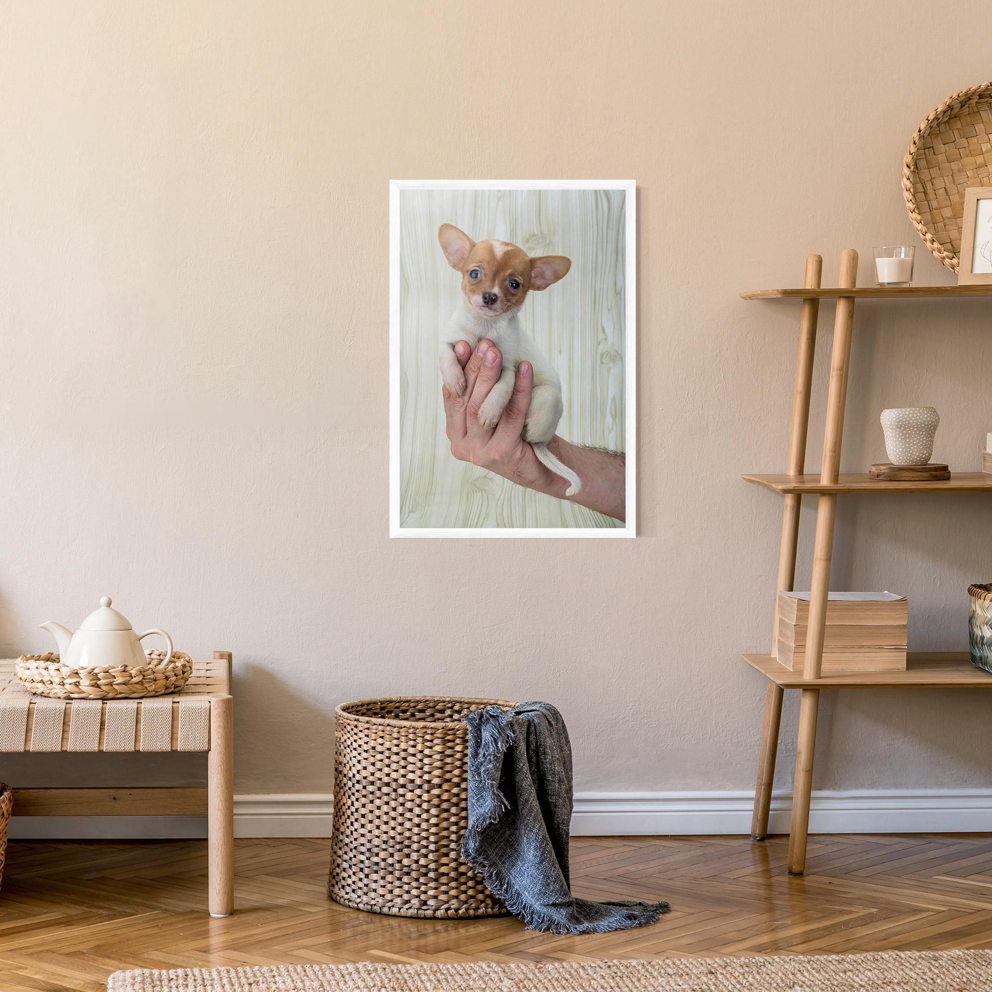 Gerahmte Poster Holding Chihuahua mockup 9