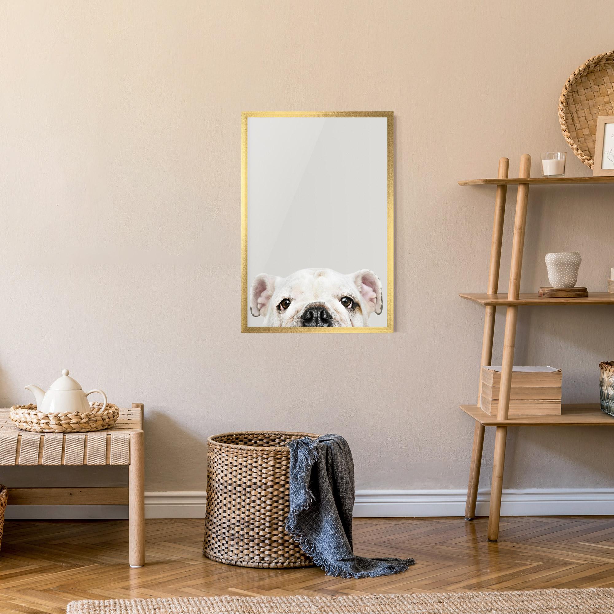 Gerahmte Poster Bulldog Eyes mockup 9