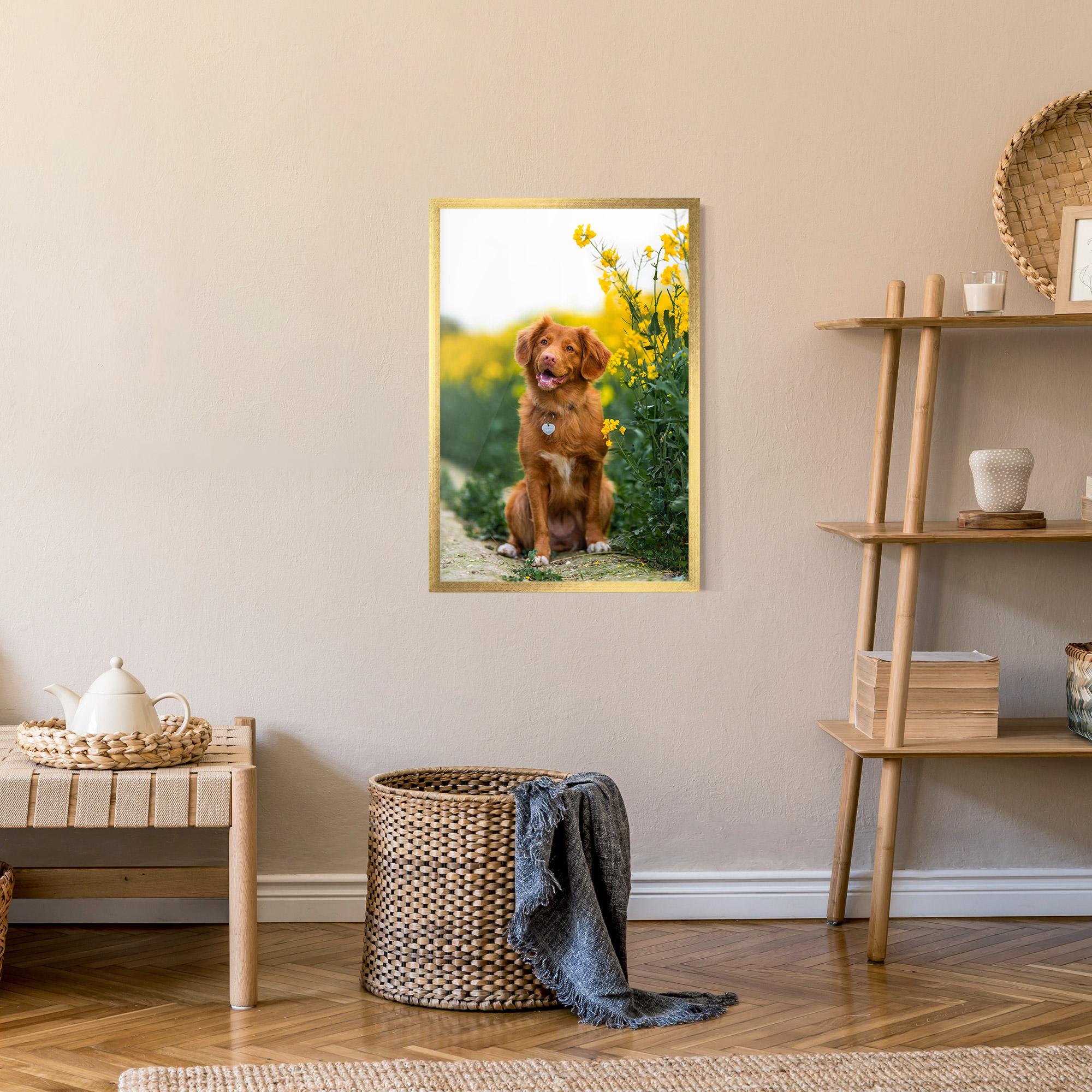 Gerahmte Poster Dog Yellow Flowers mockup 9