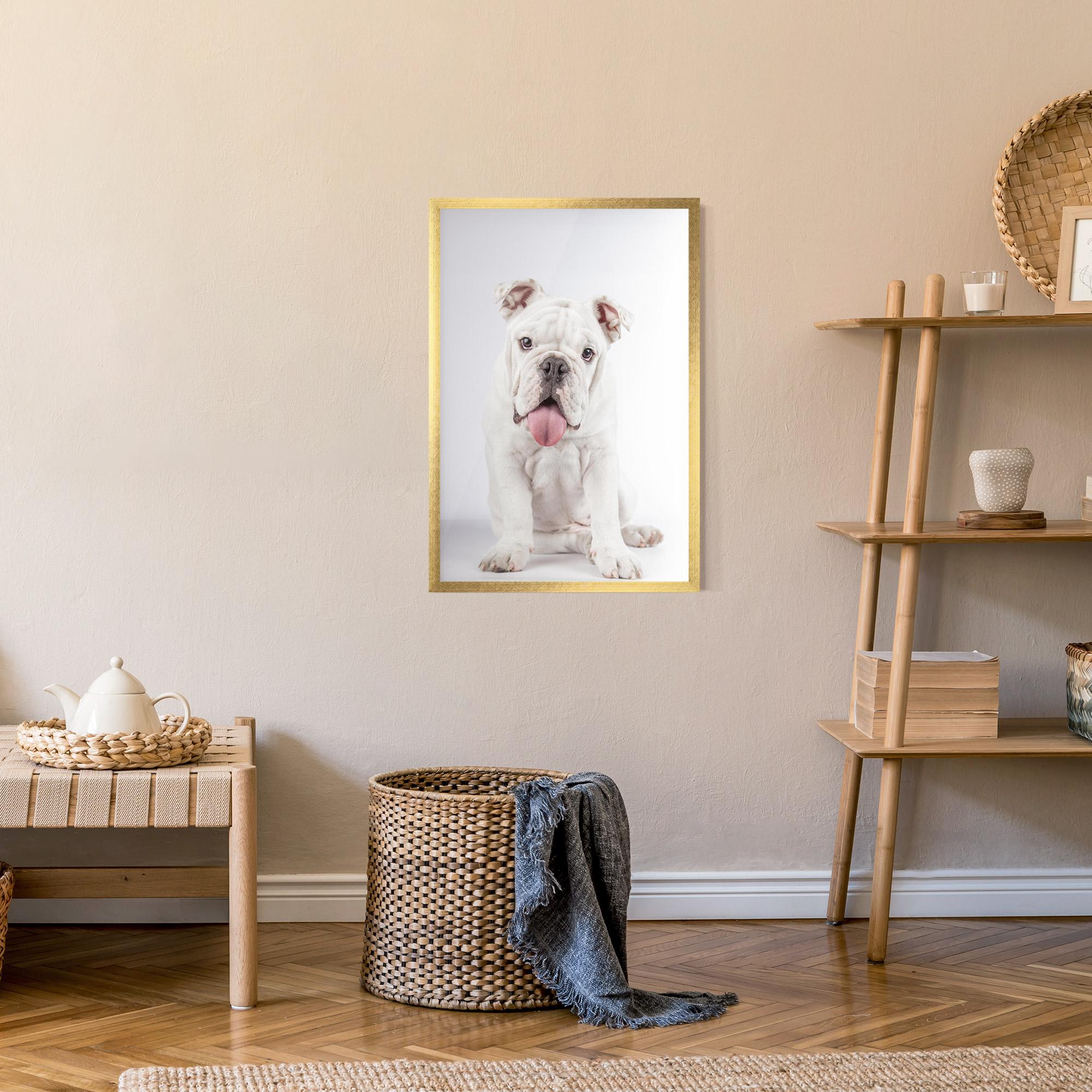 Gerahmte Poster English Bulldog mockup 9