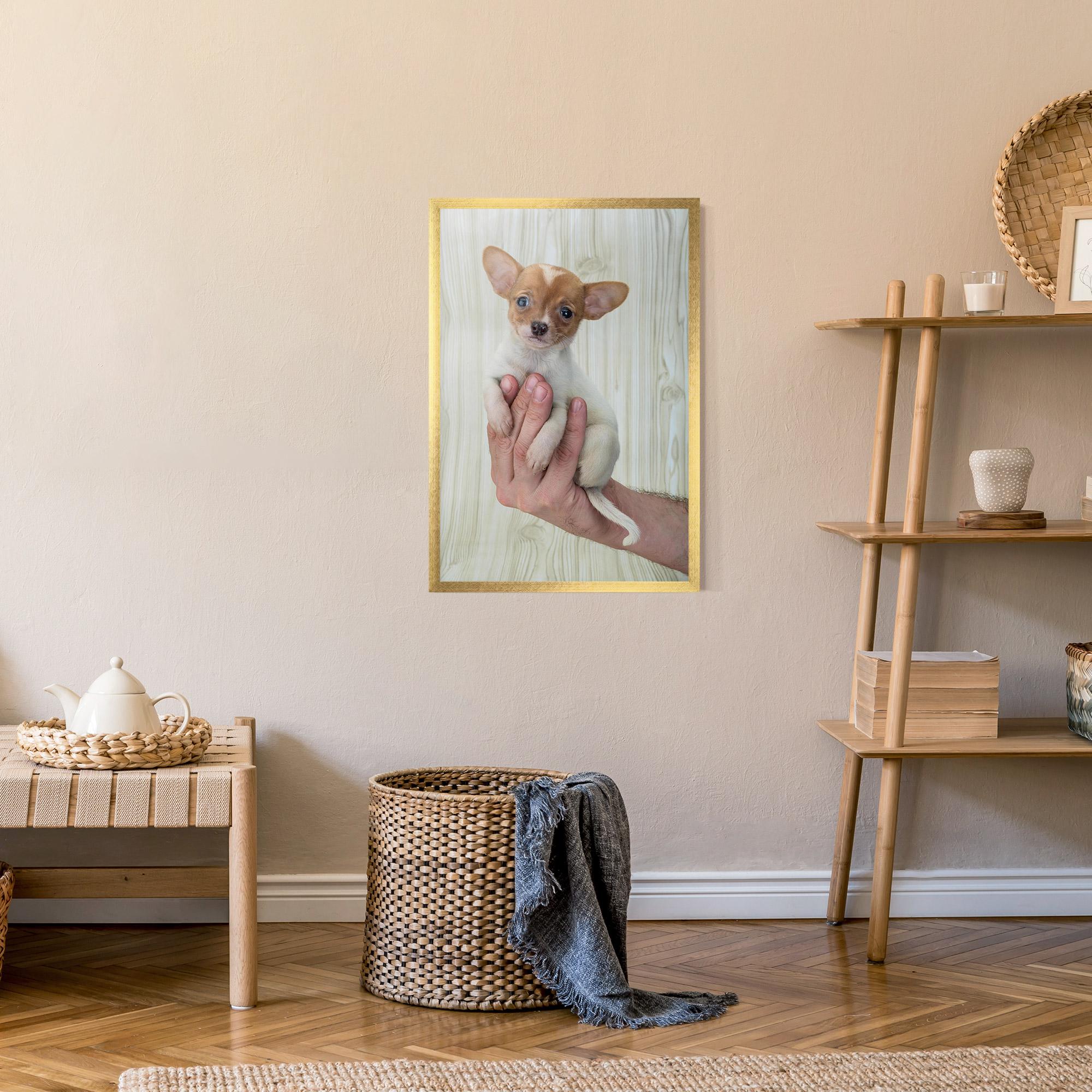 Gerahmte Poster Holding Chihuahua mockup 9