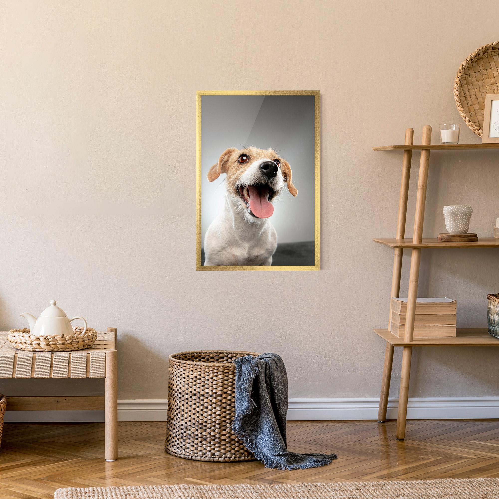 Gerahmte Poster Jack Russell Terrier mockup 9