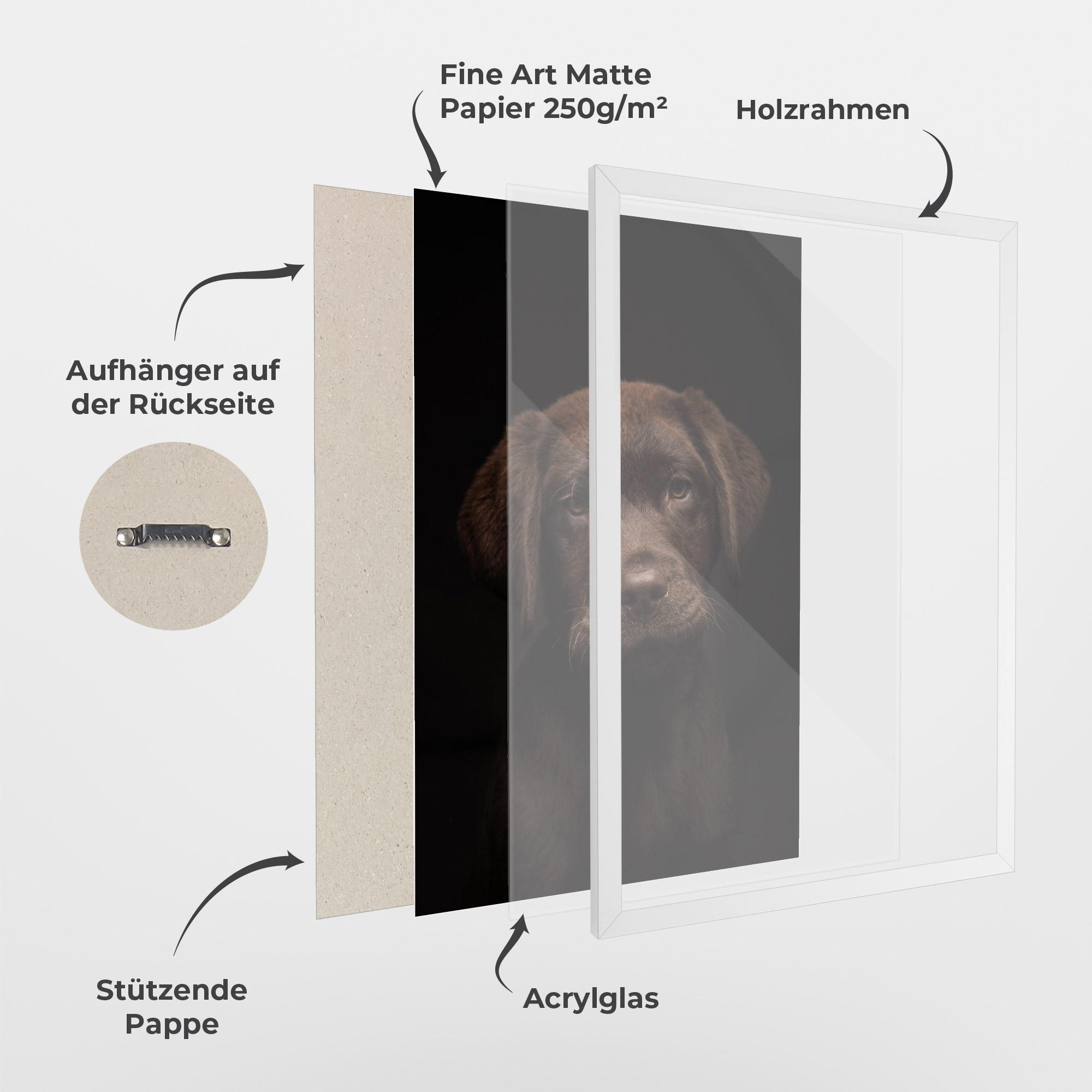 Gerahmte Poster Chocolate Labrador mockup 1