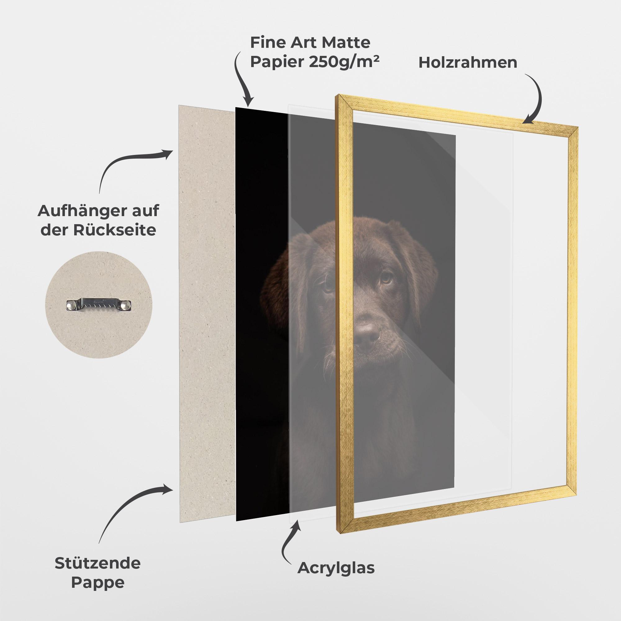 Gerahmte Poster Chocolate Labrador mockup 1