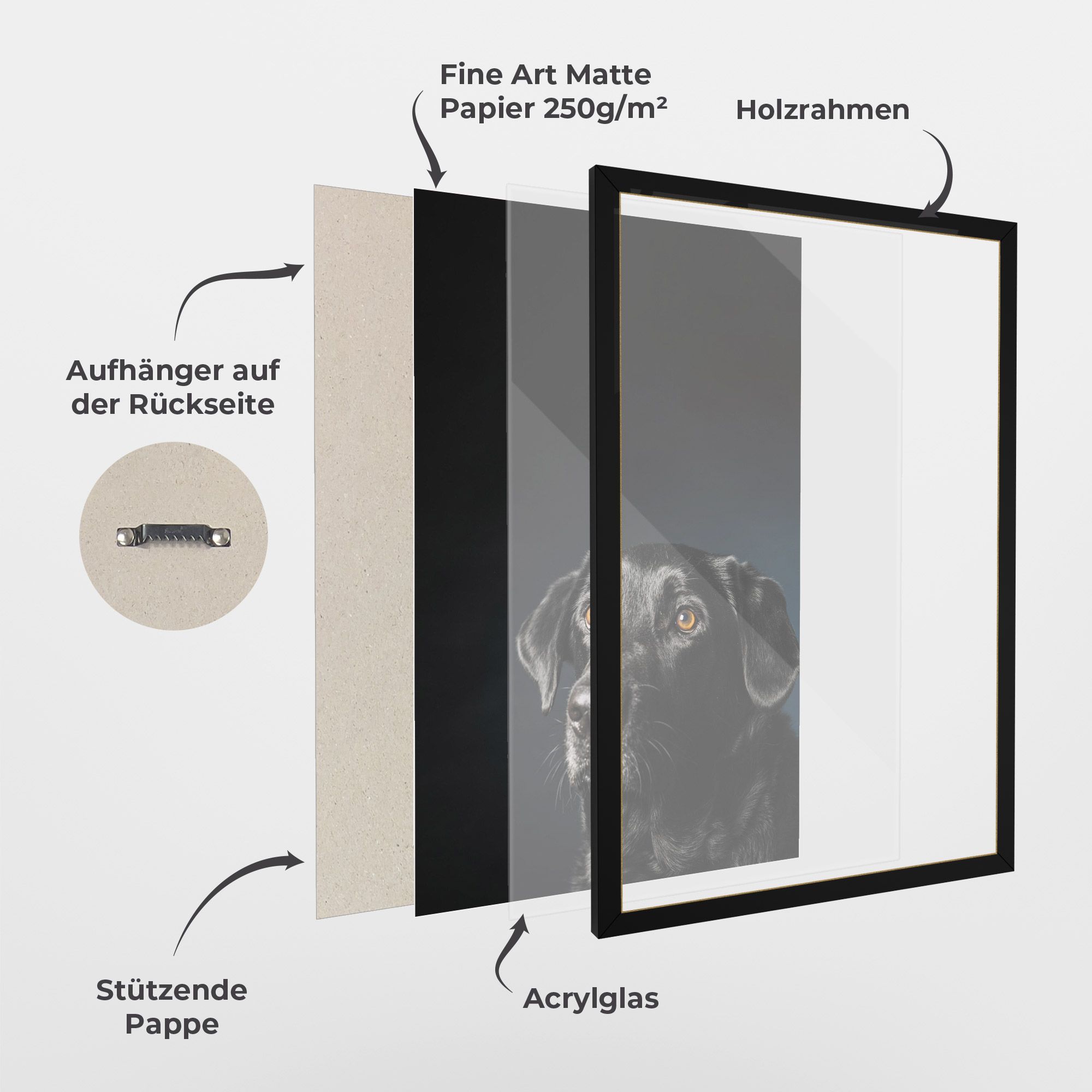 Brown Eyes Dog mockup 1