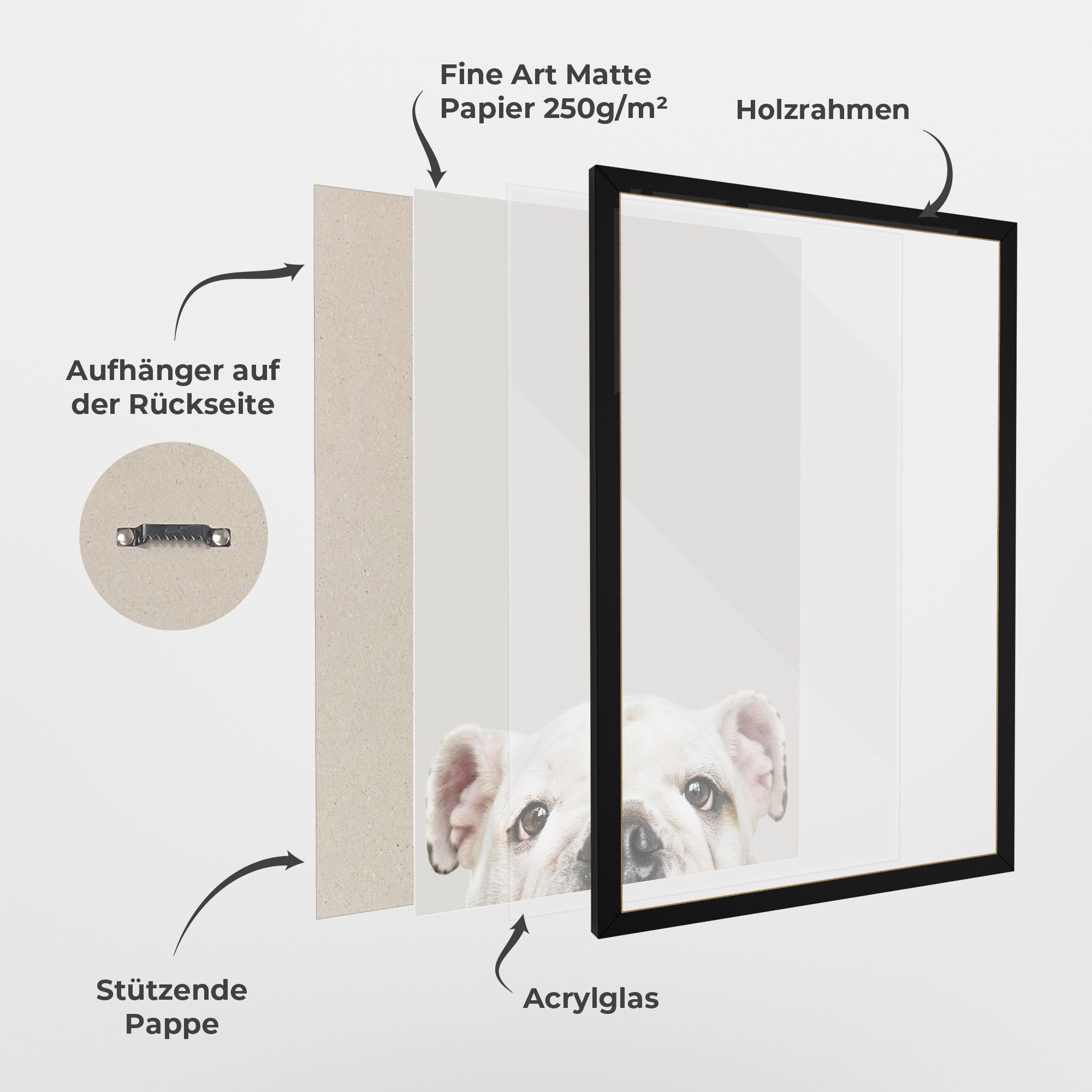 Bulldog Eyes mockup 1