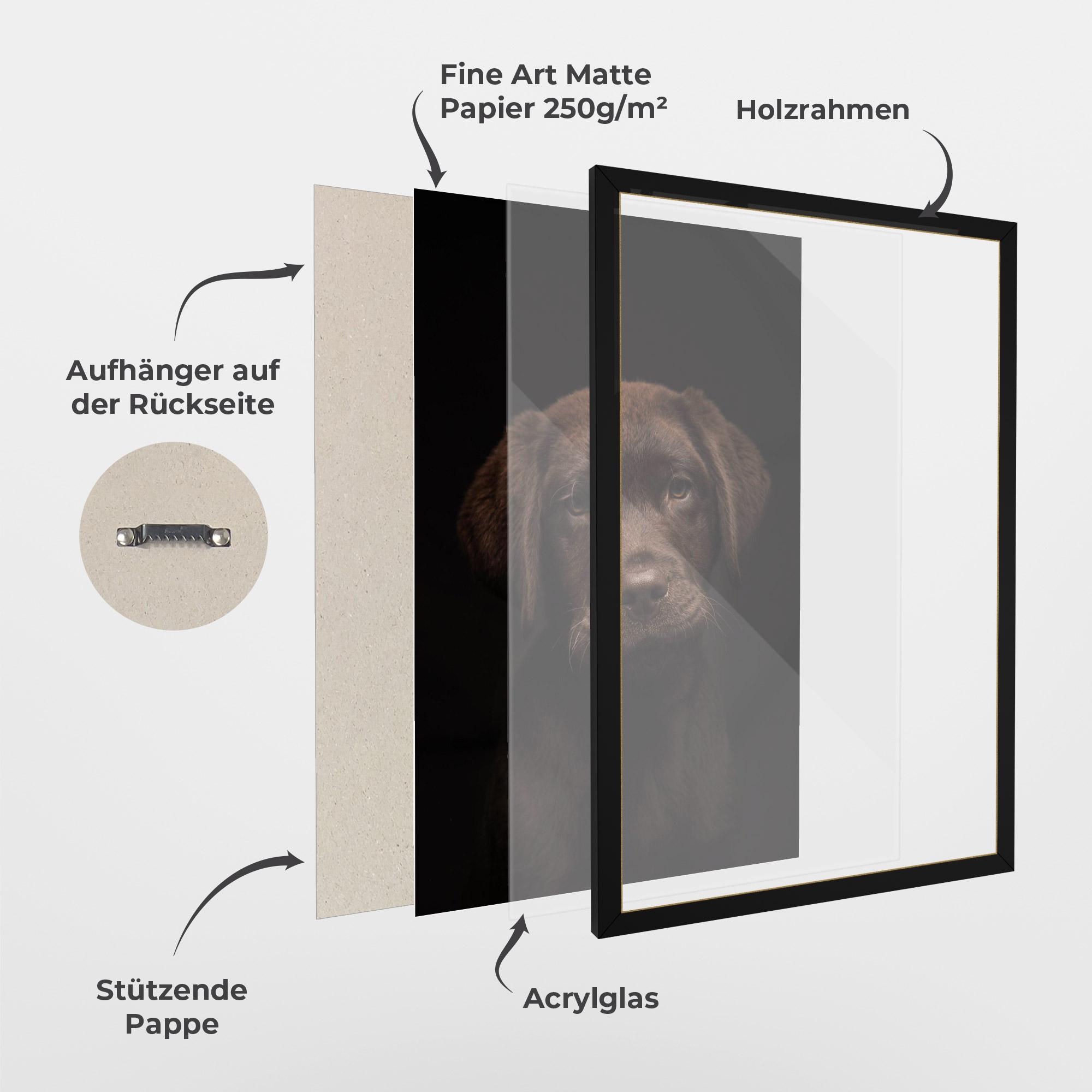 Gerahmte Poster Chocolate Labrador mockup 1