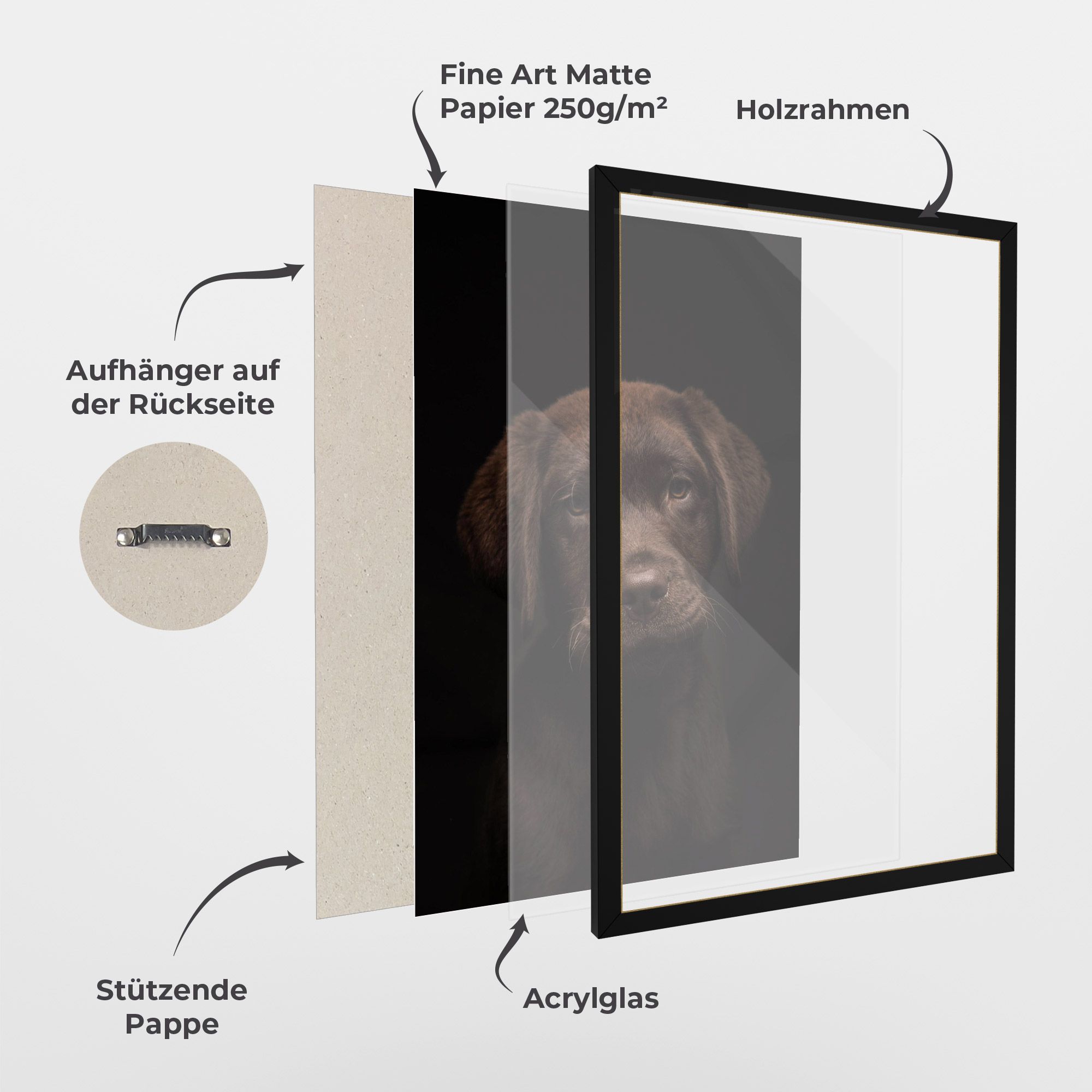 Chocolate Labrador mockup 1