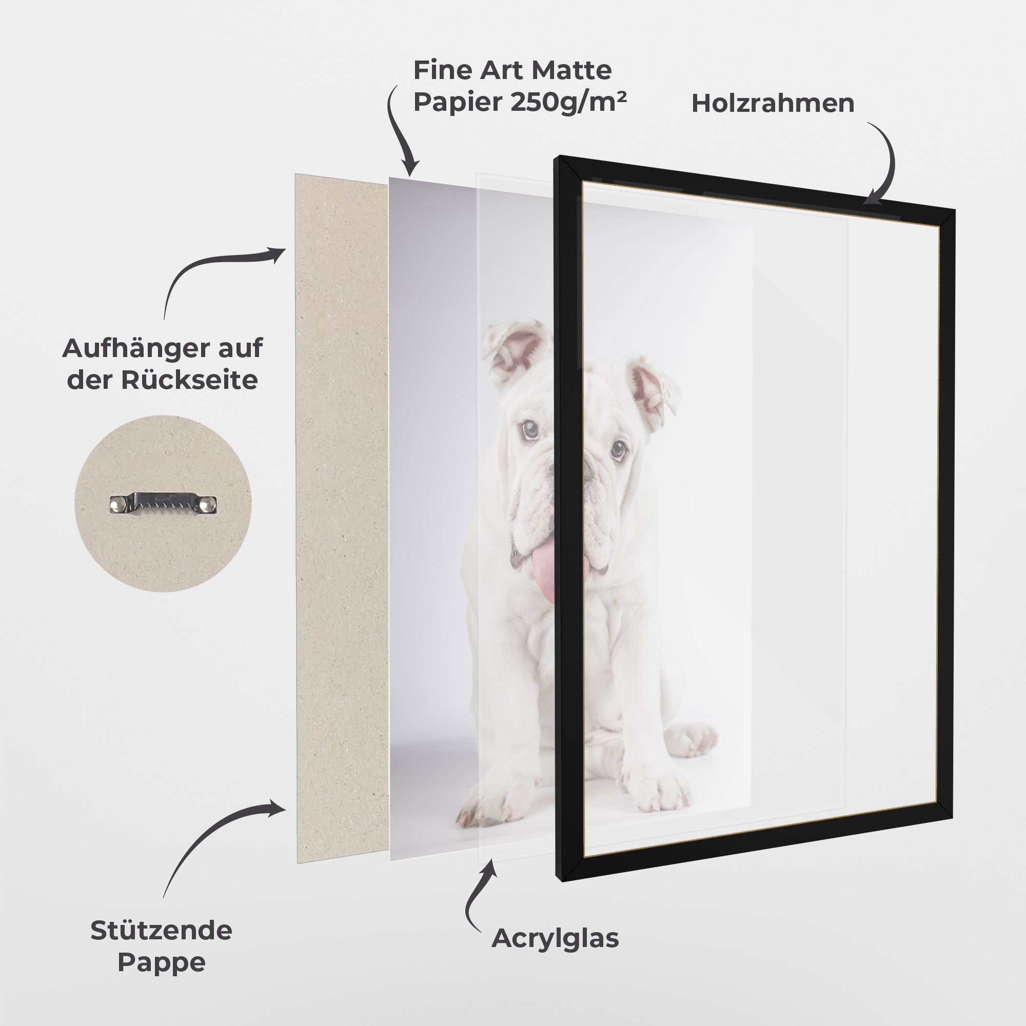 English Bulldog mockup 1