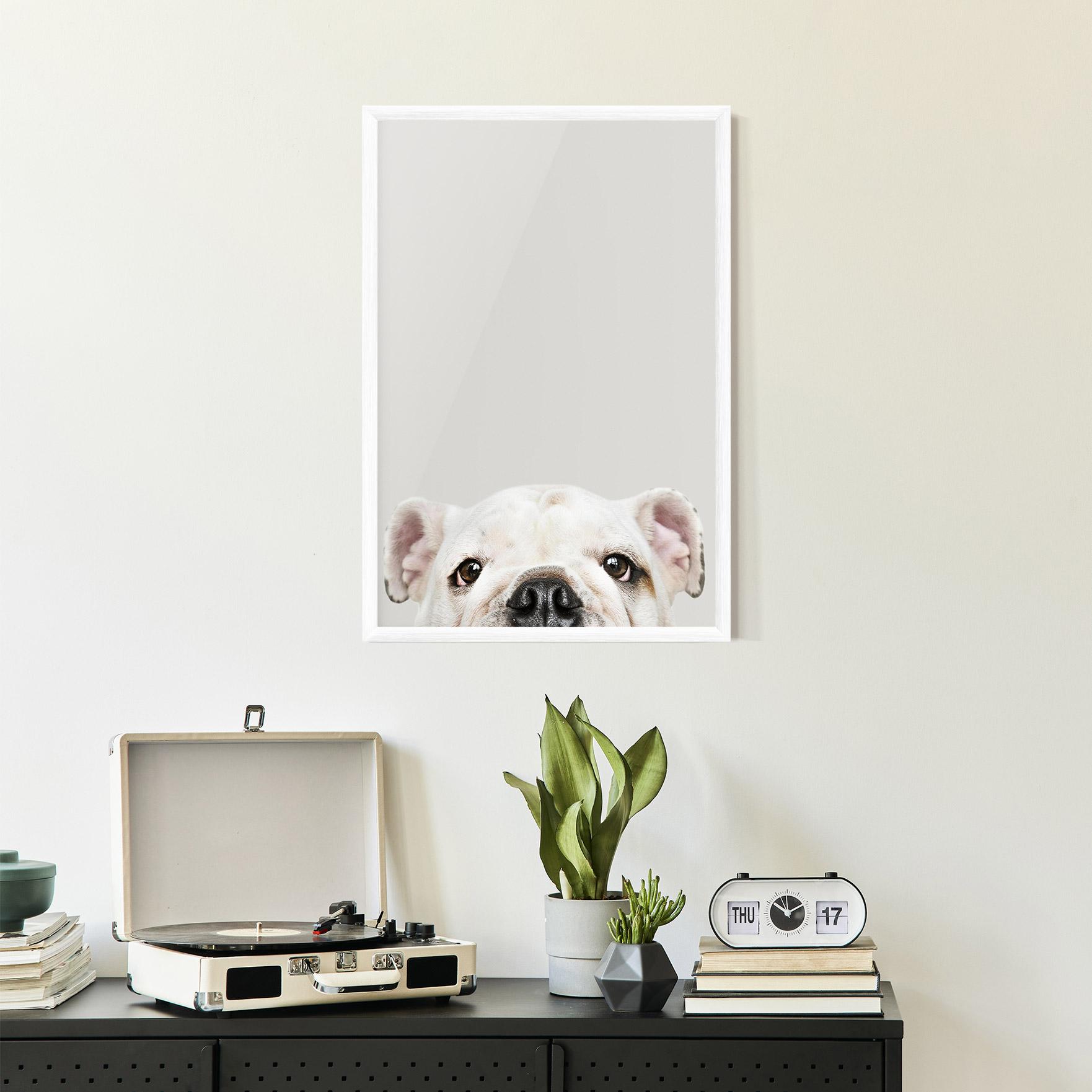 Gerahmte Poster Bulldog Eyes mockup 2