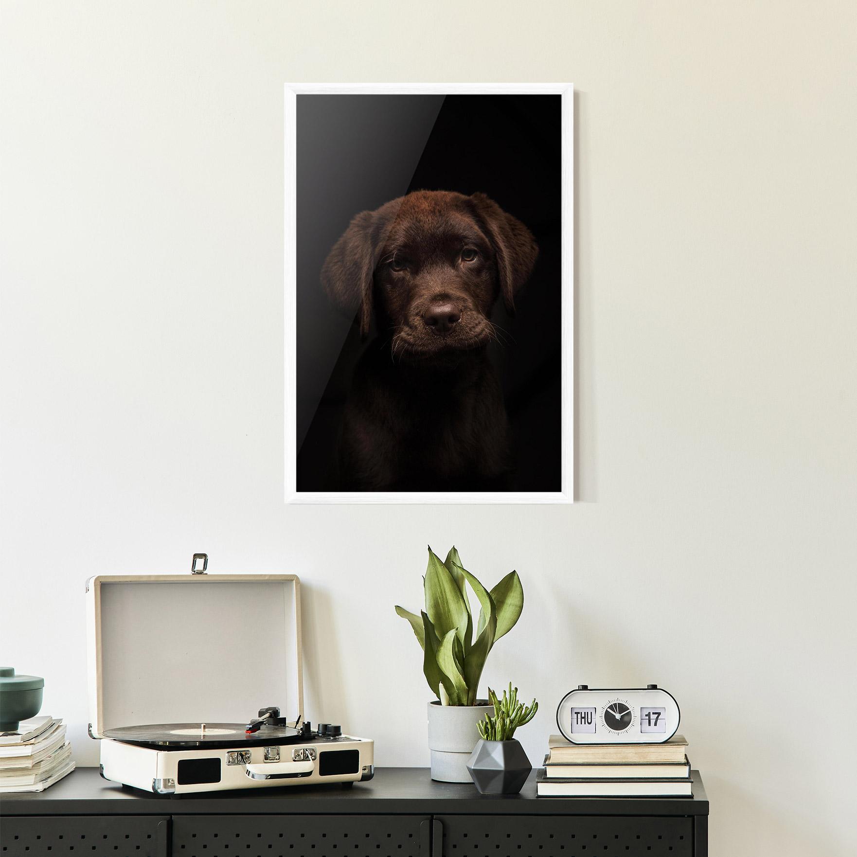 Gerahmte Poster Chocolate Labrador mockup 2