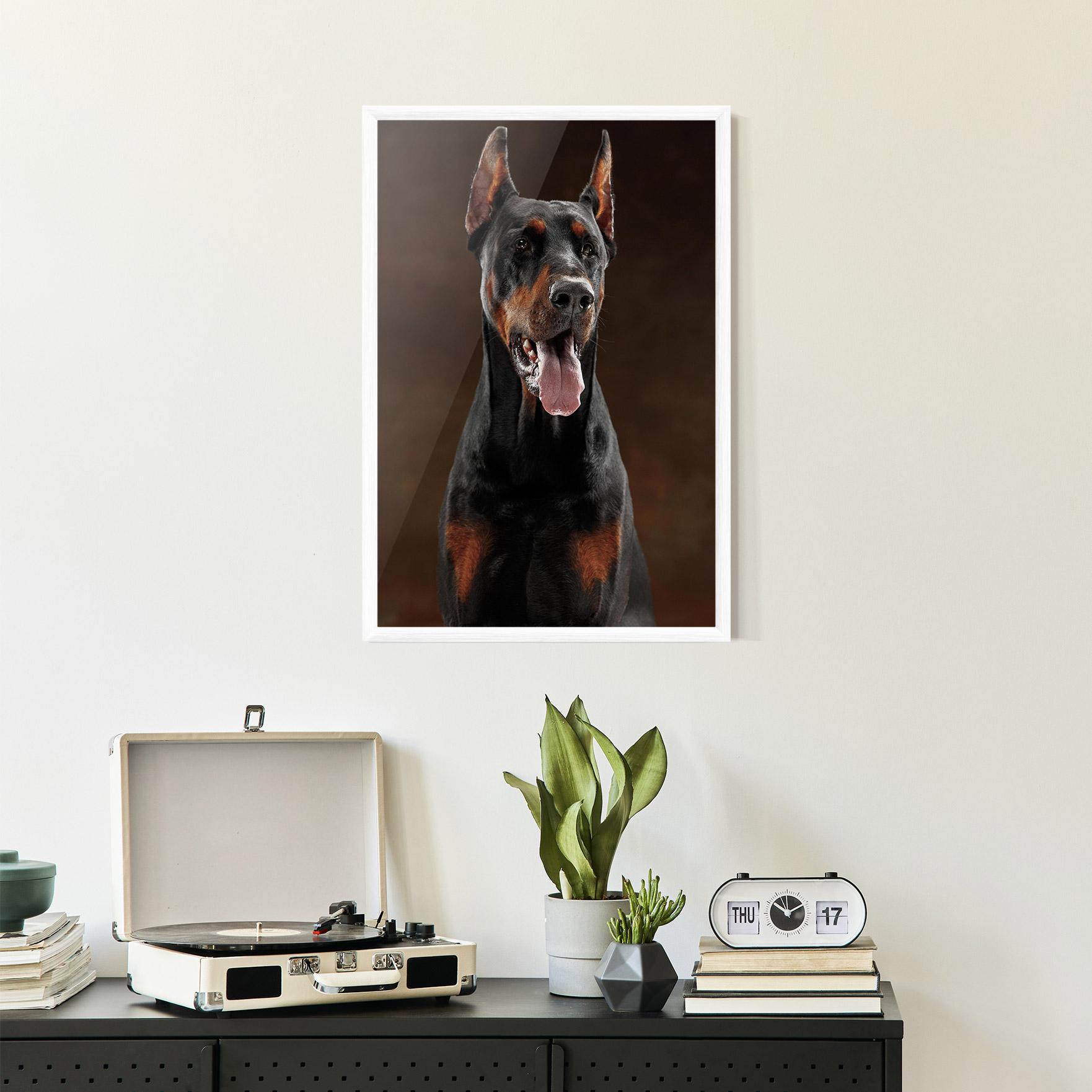 Gerahmte Poster Doberman Looking mockup 2