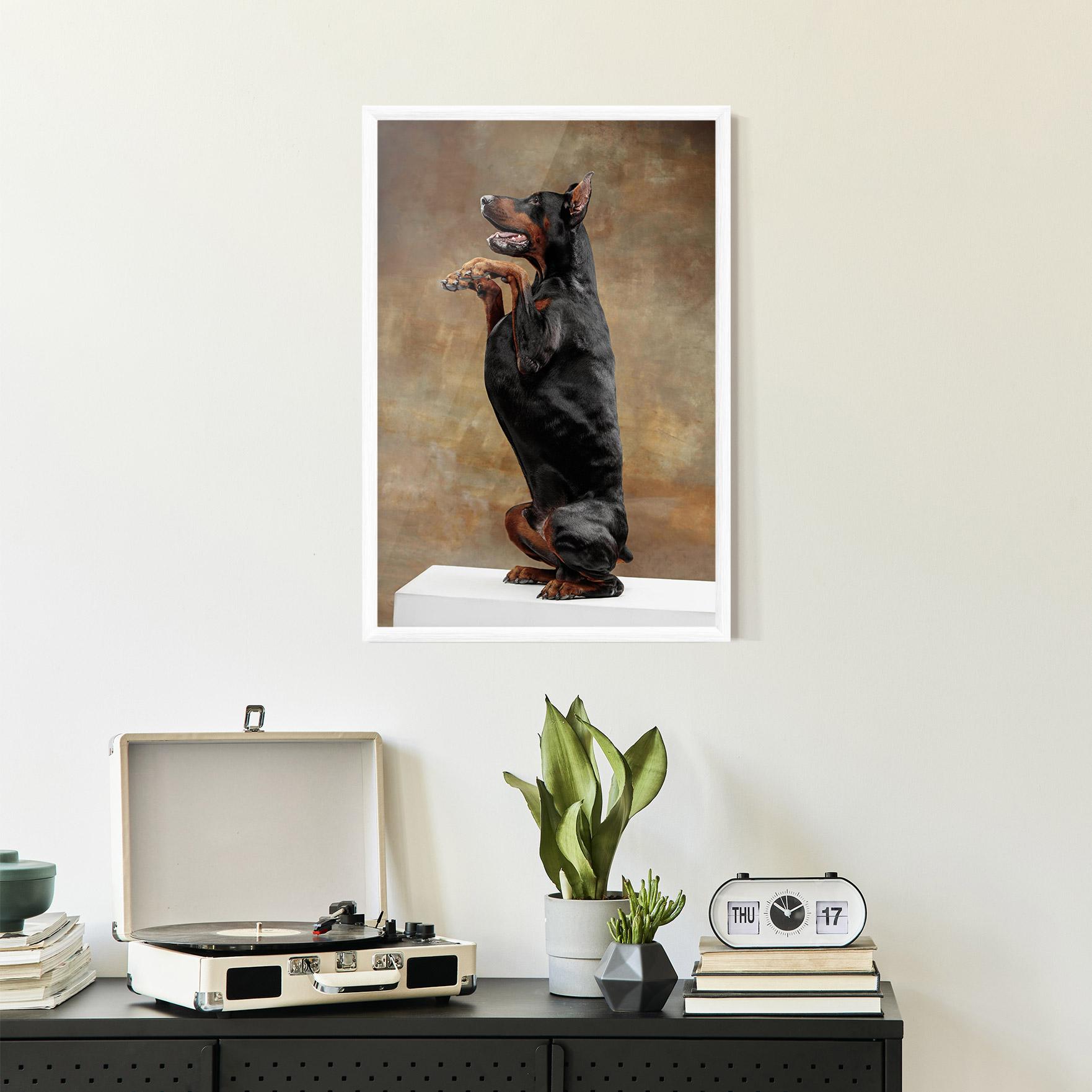 Gerahmte Poster Doberman Standing mockup 2